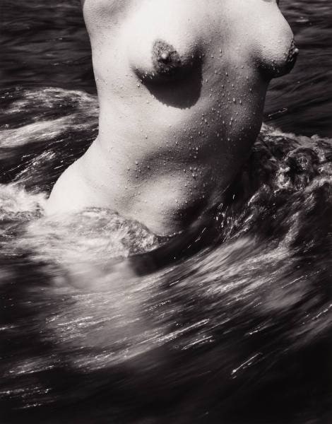 Torso (Female)