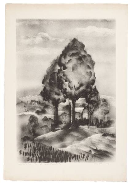 Trees
