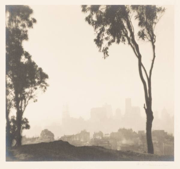 Trees, San Francisco, Russ Bldg