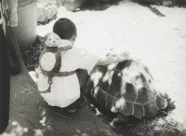 Untitled (Leash and Turtle)