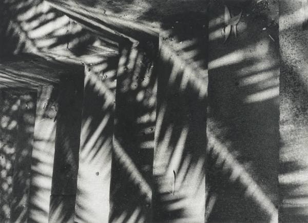 Untitled (Shadow on Stairs)
