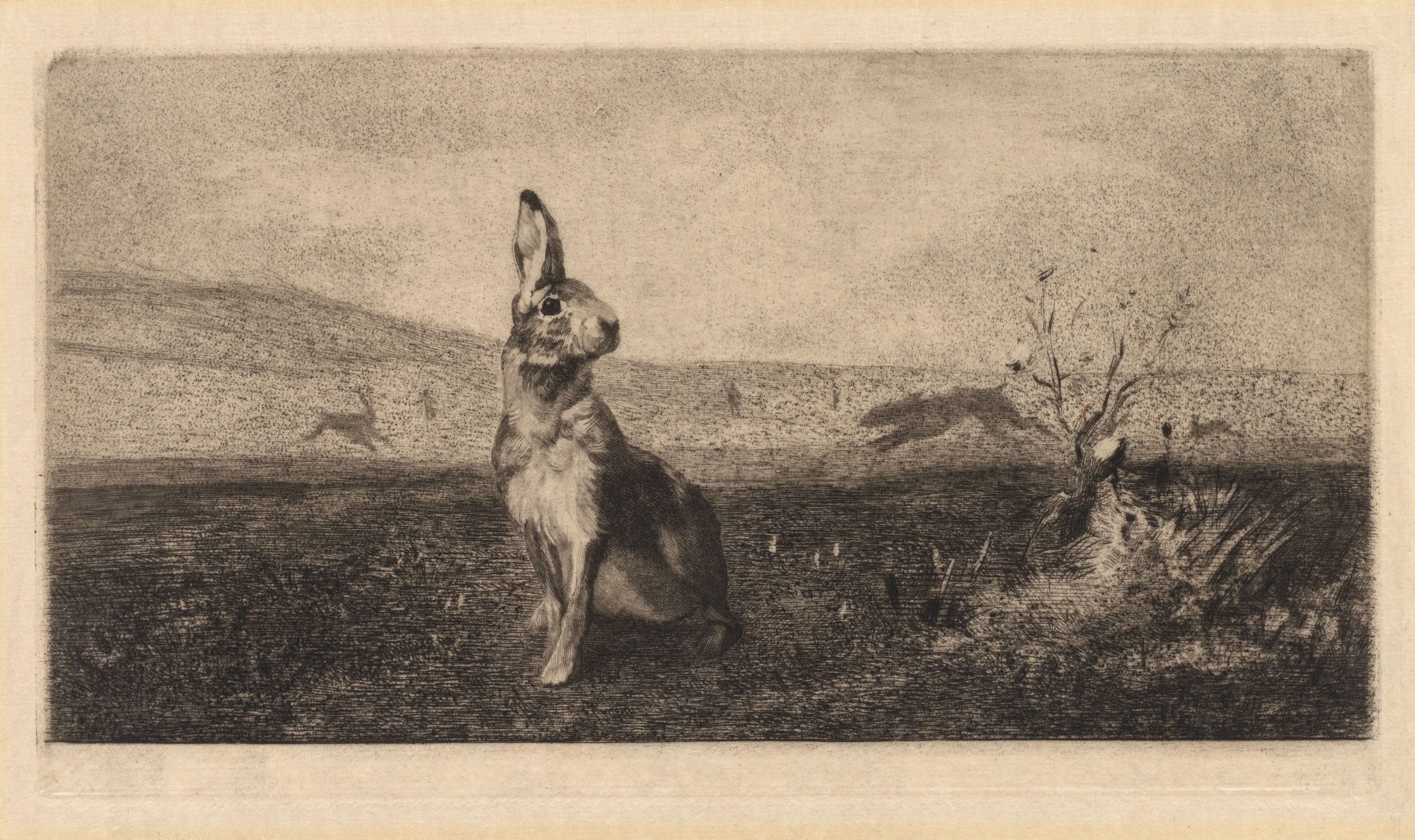 The Hare (Le Lièvre)