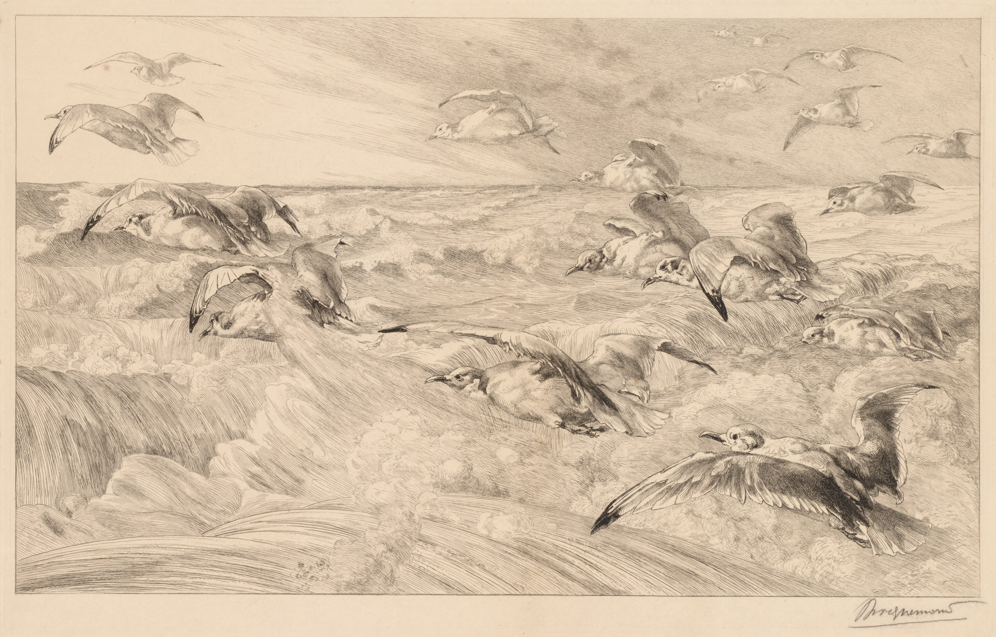Seagulls (Les Mouettes)