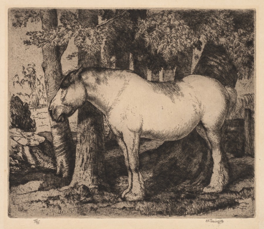 The White Horse