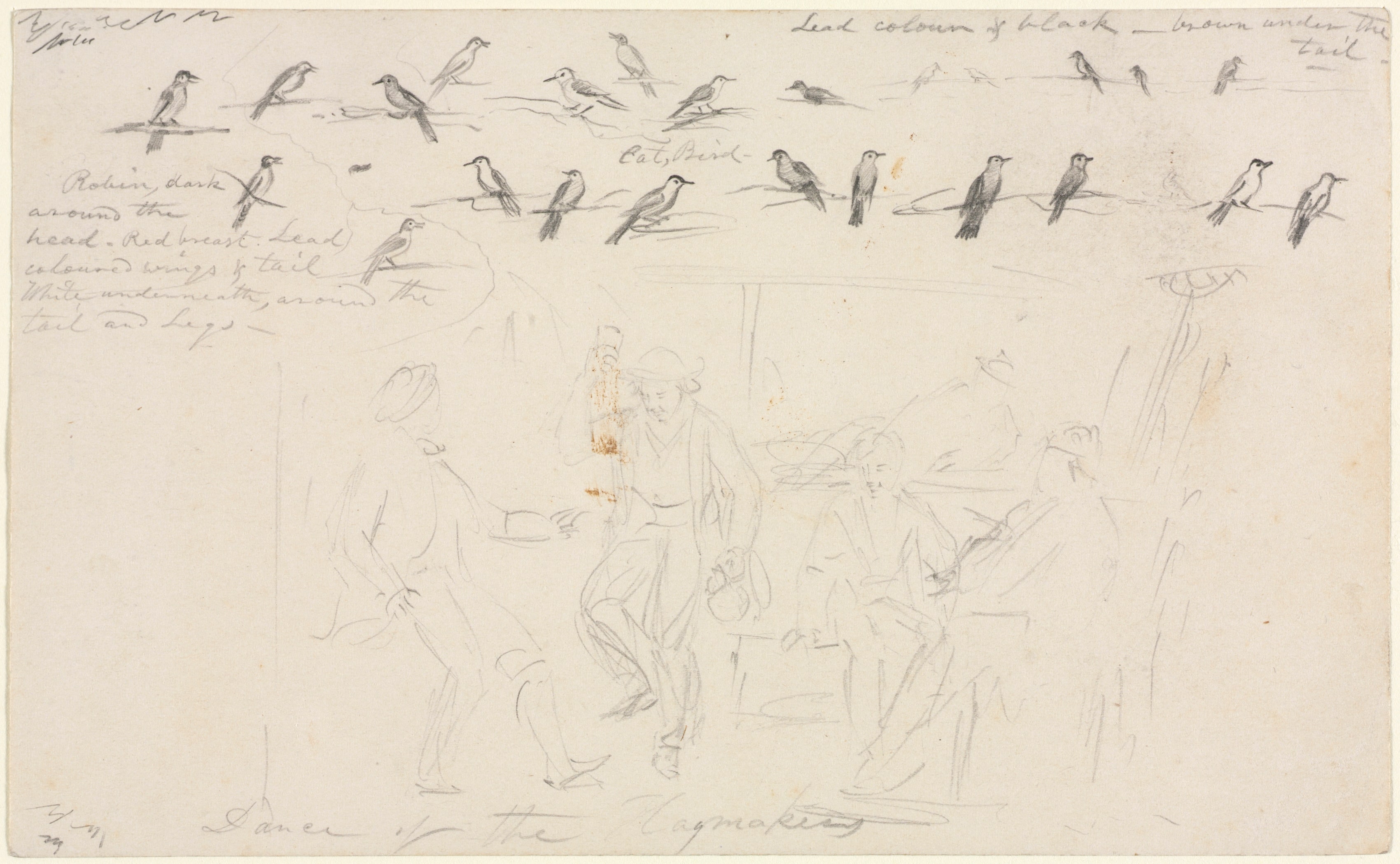 Dance of the Haymakers