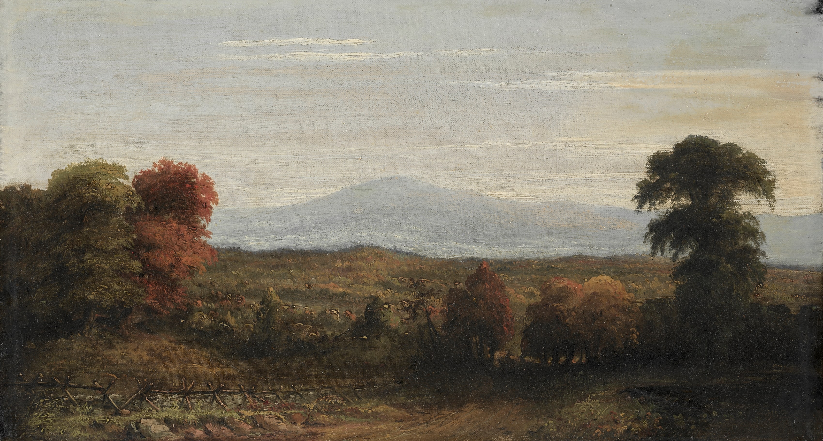 Landscape