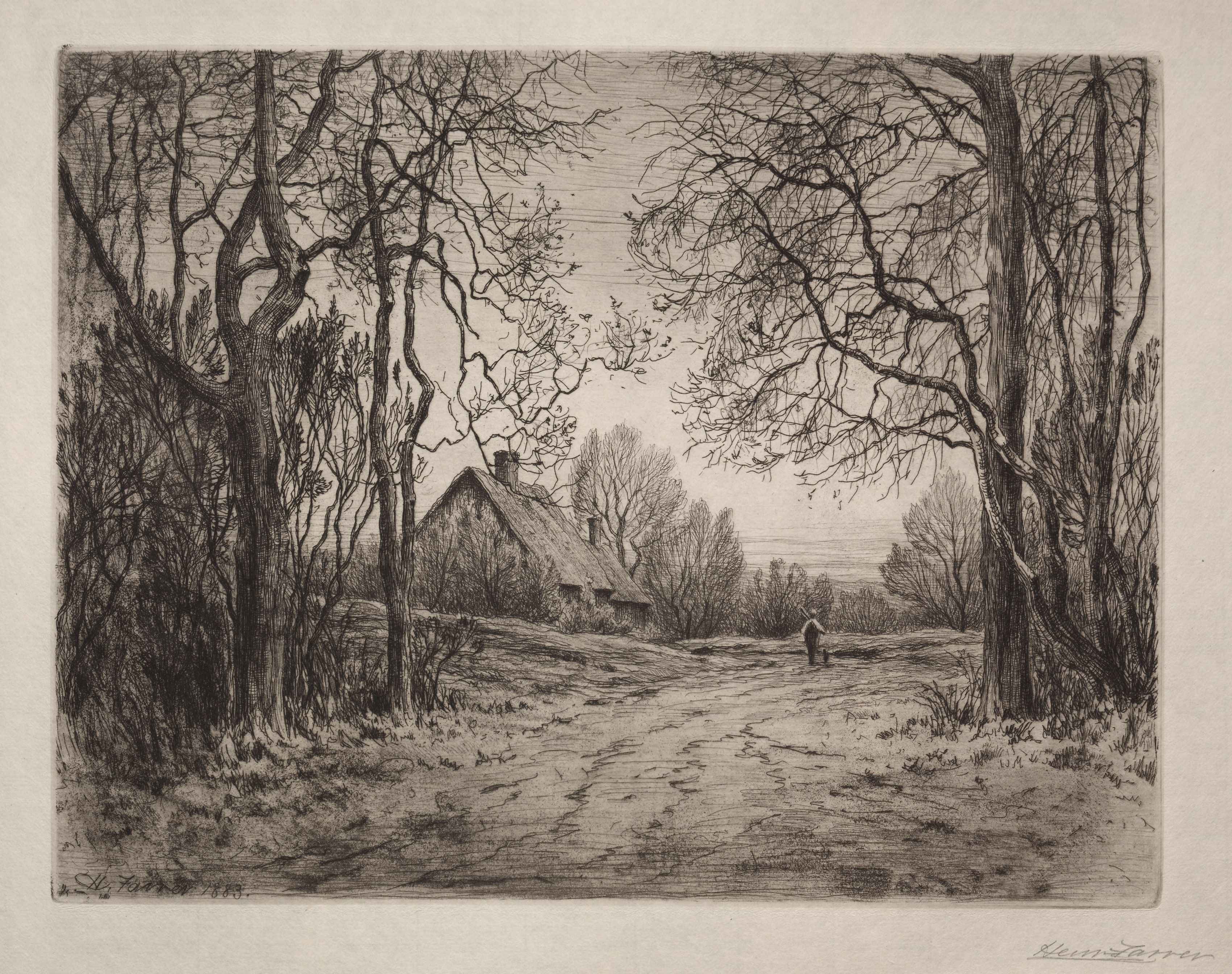 Winter Evening