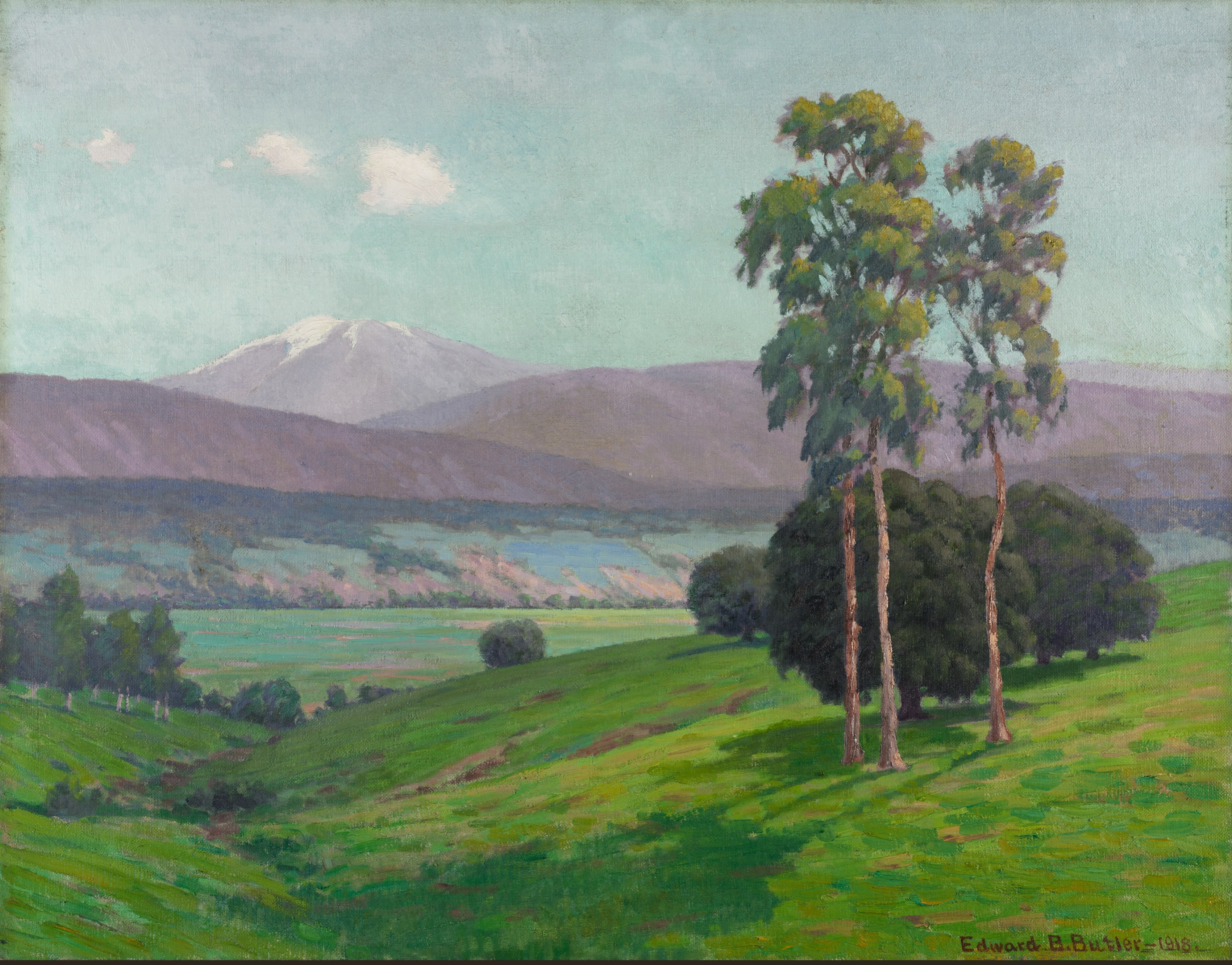 Early Spring, California