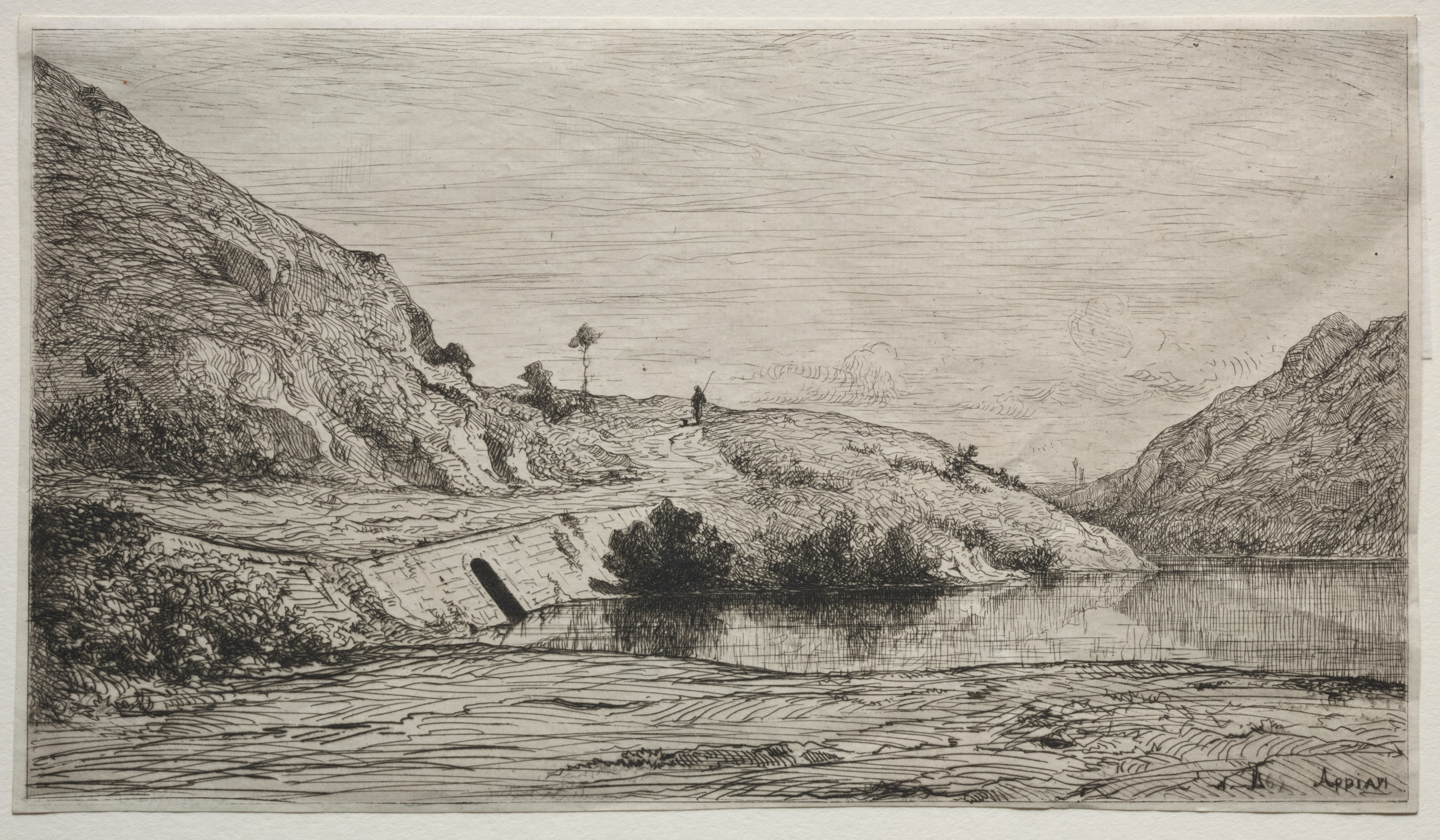 Banks of the Rhone