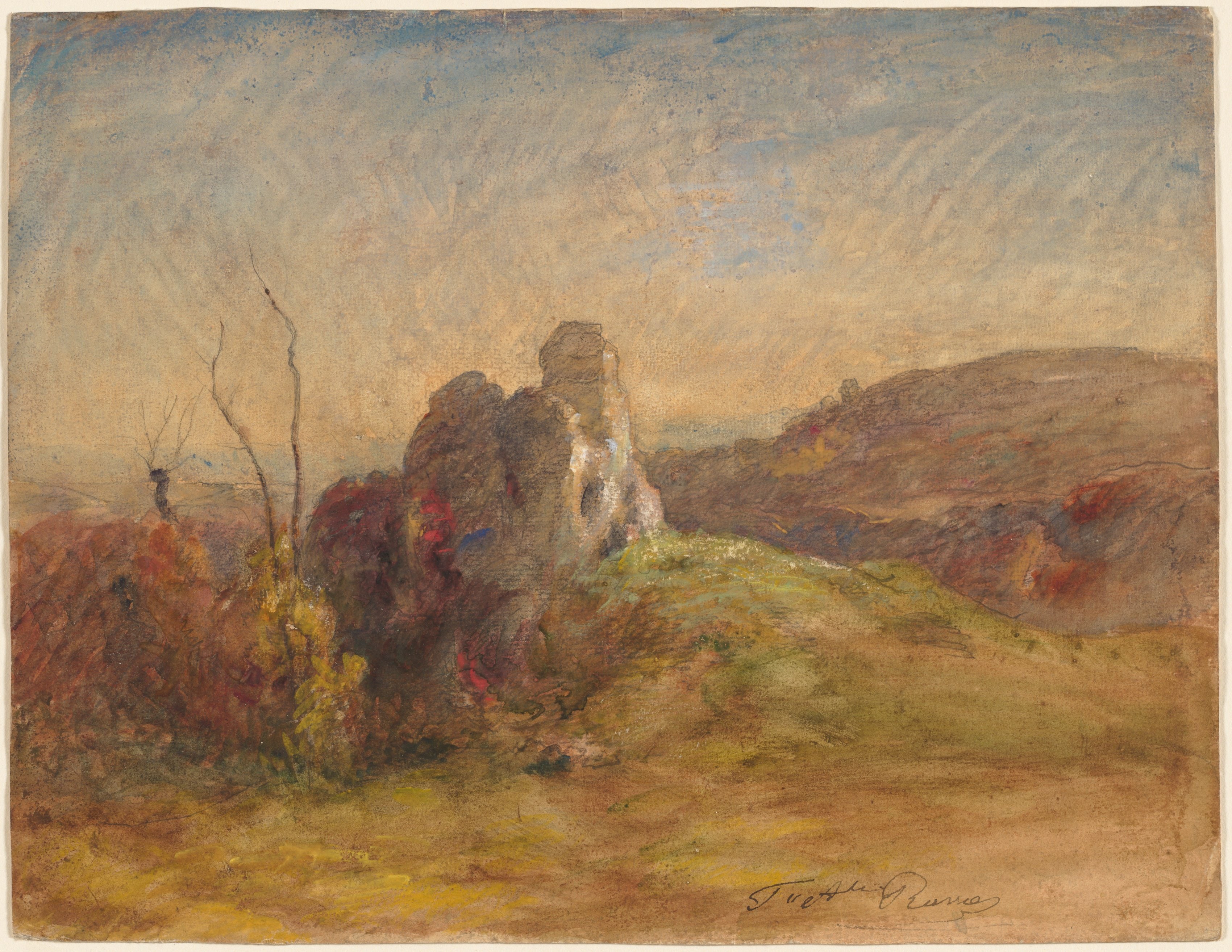 Landscape