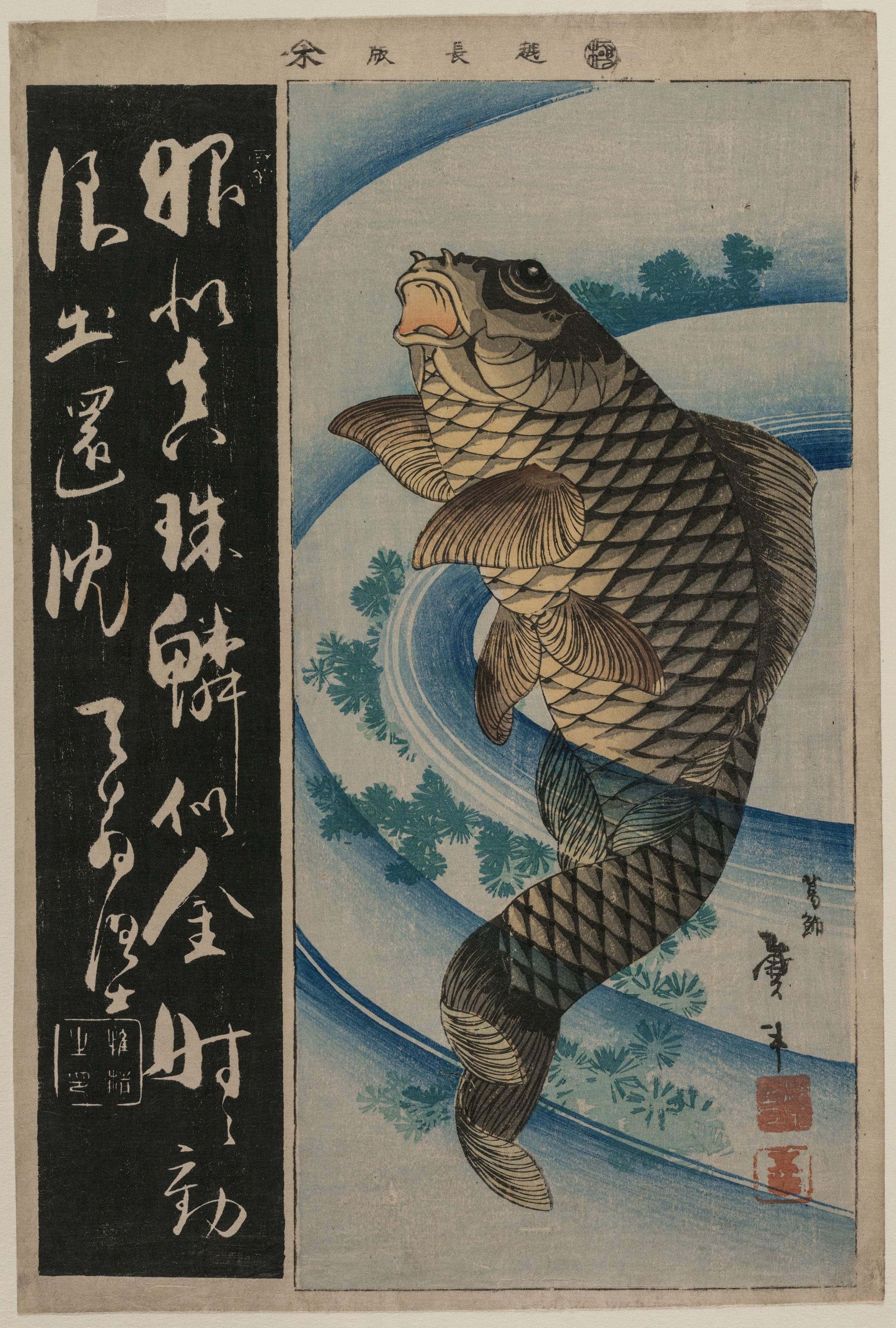 Carp and Waterweeds