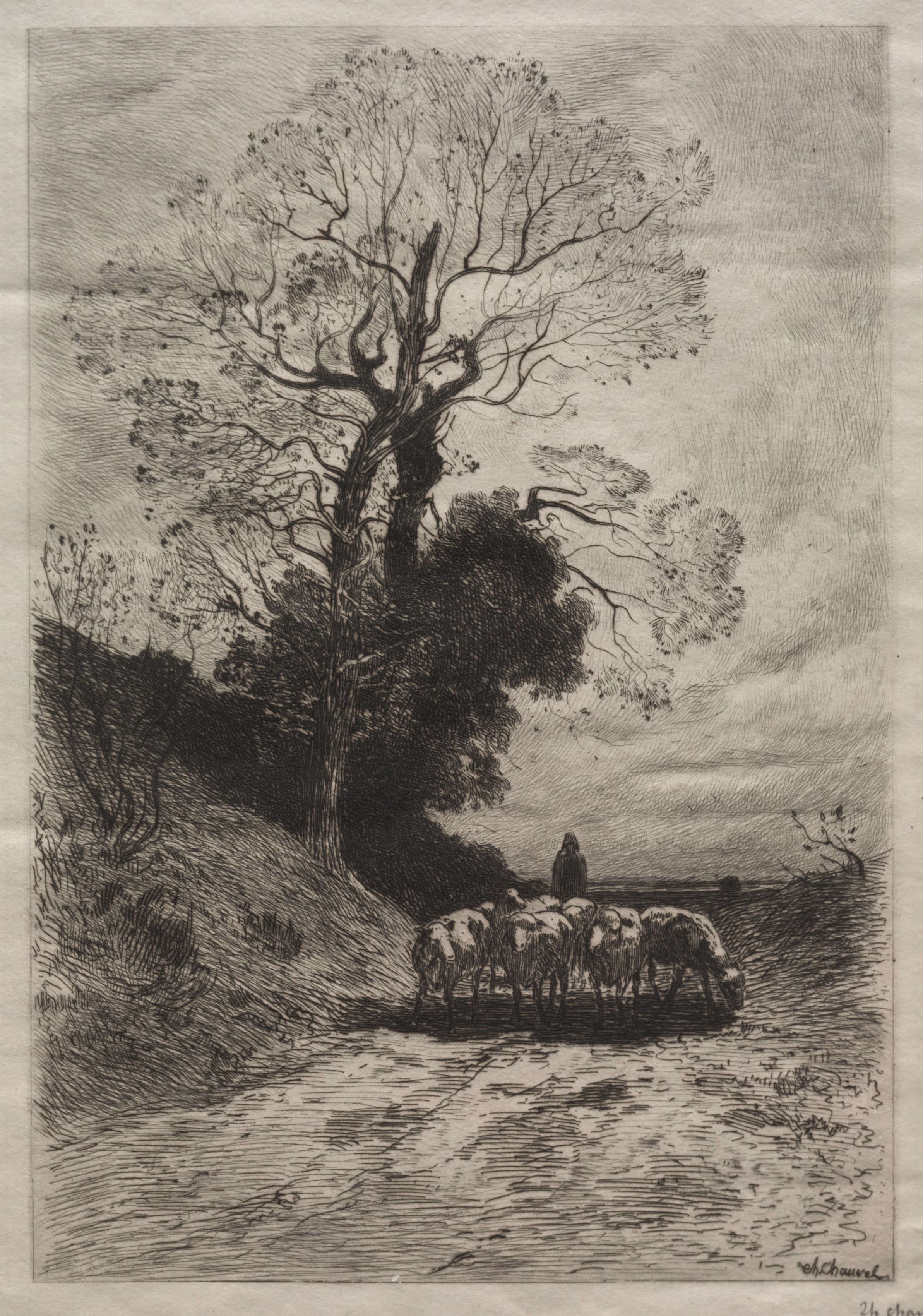 Return of the flock