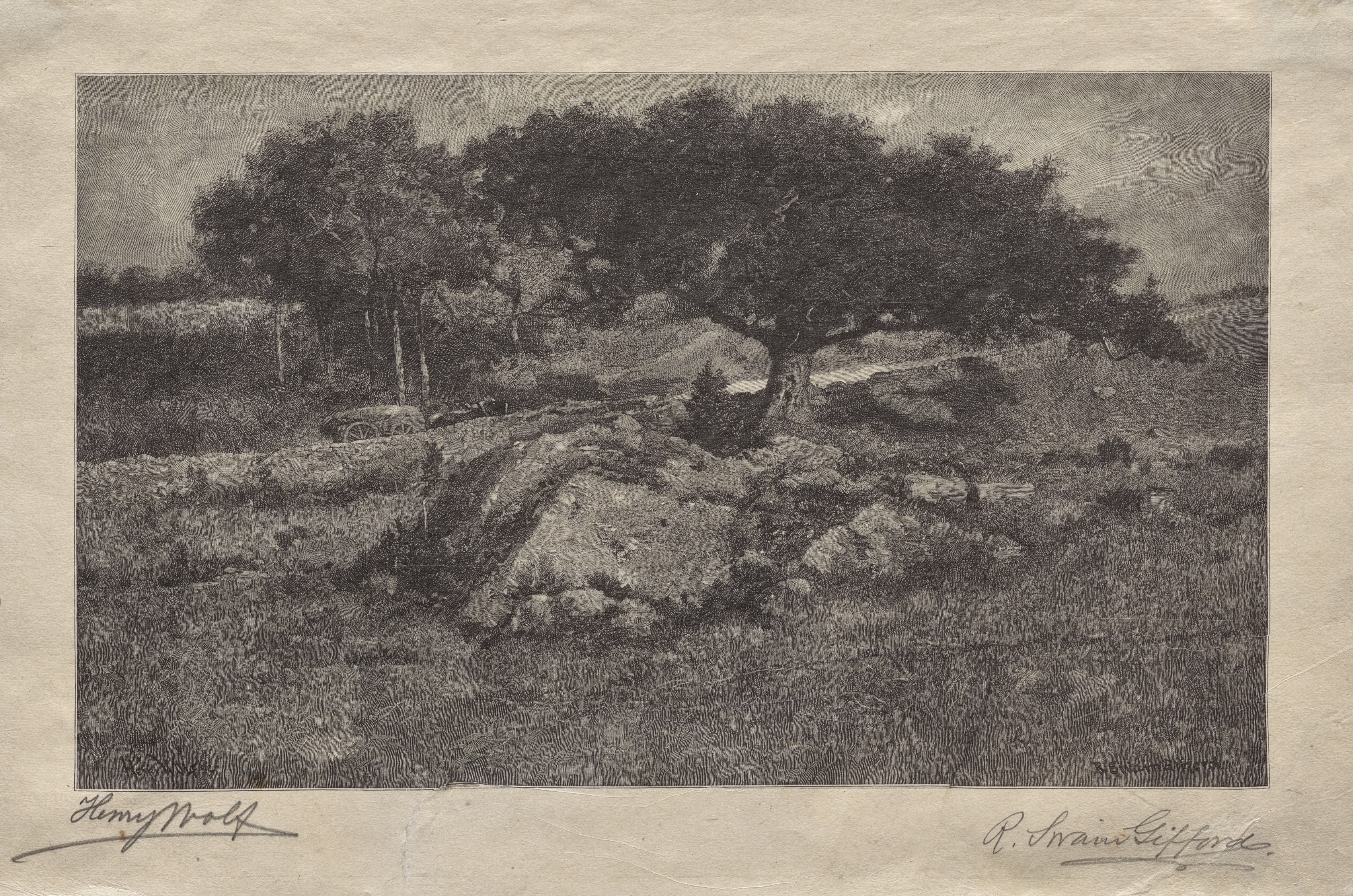 The Roadside