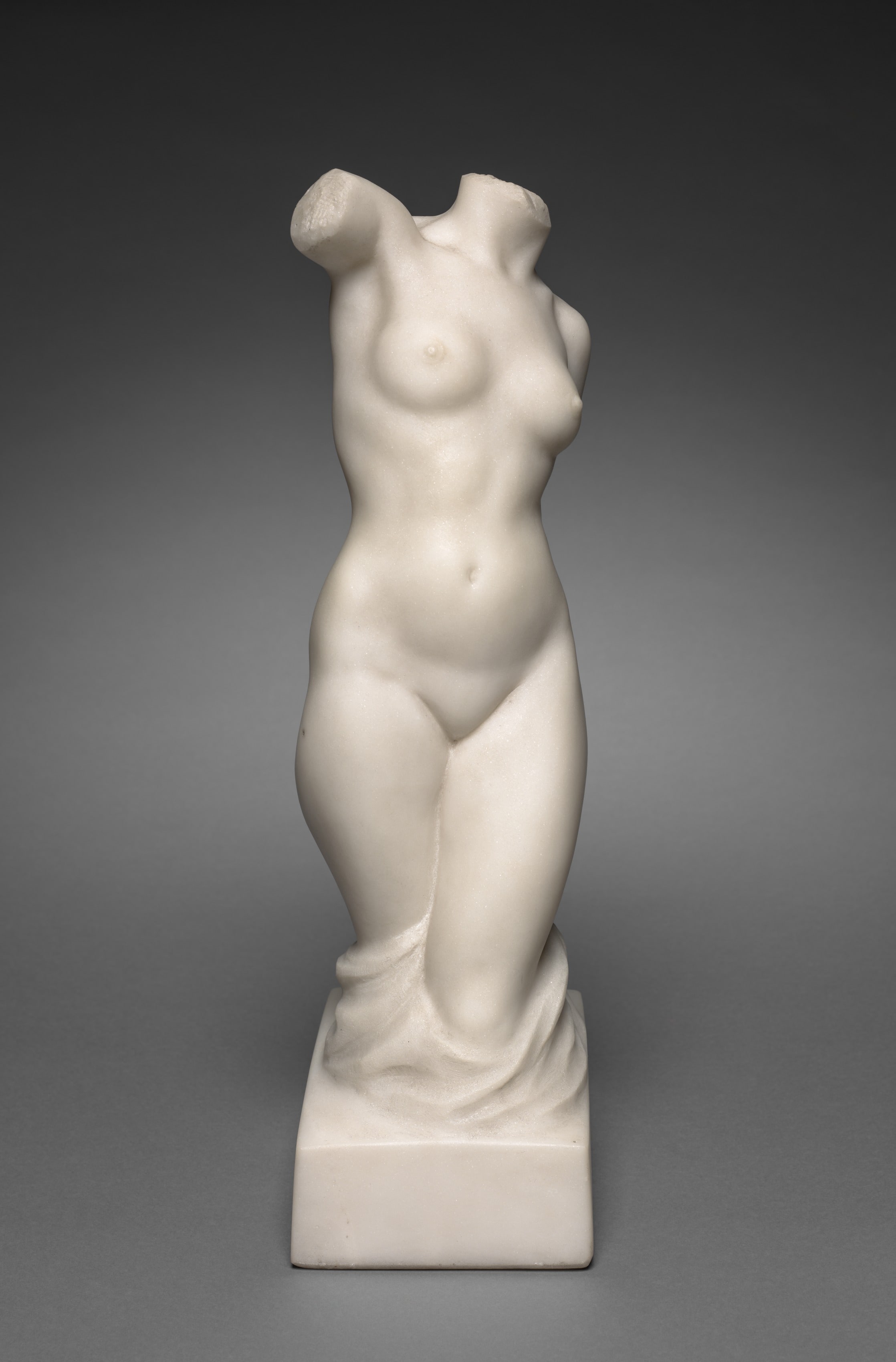 Torso