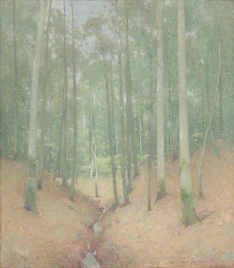 Wood Interior