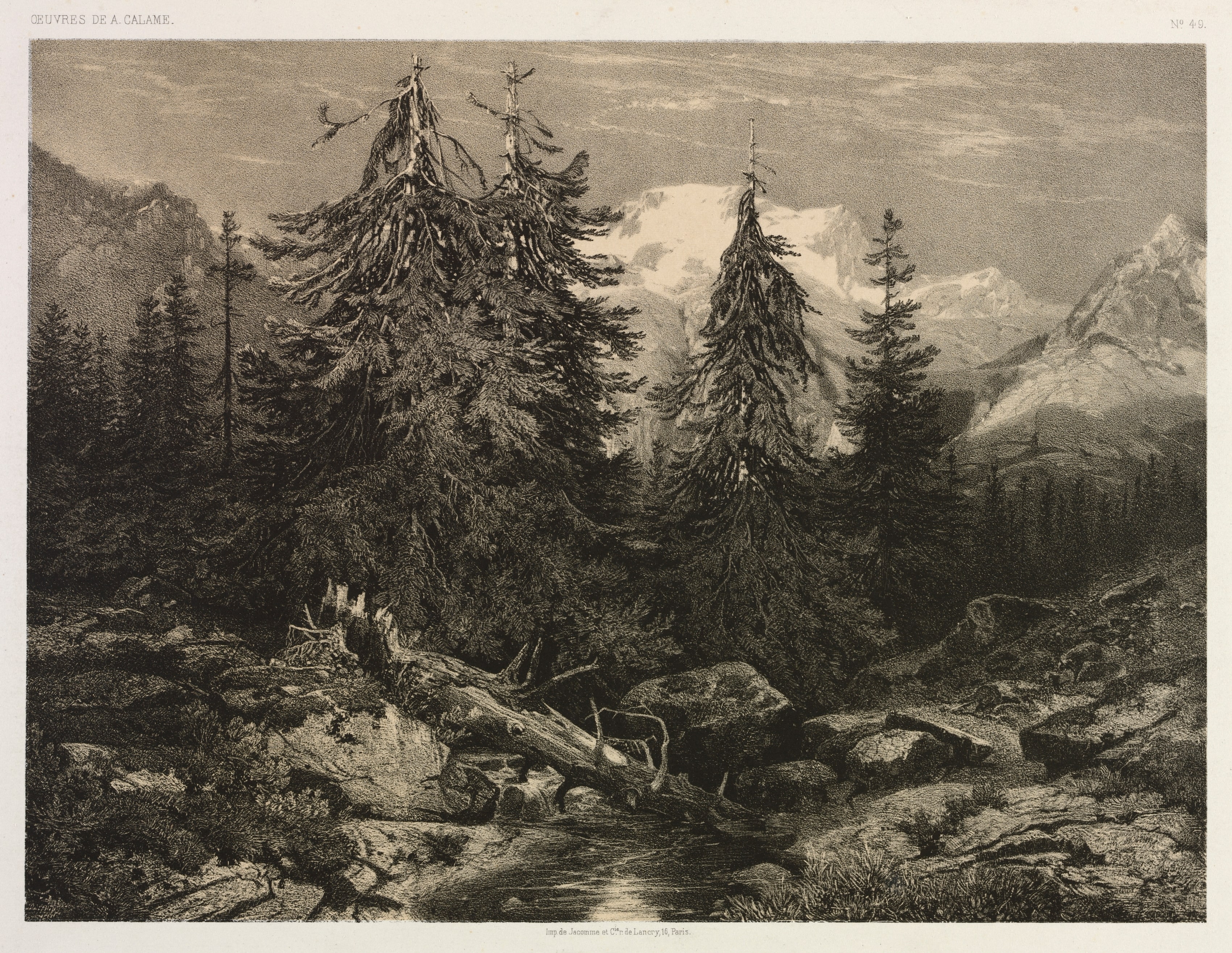 Alpine Stream