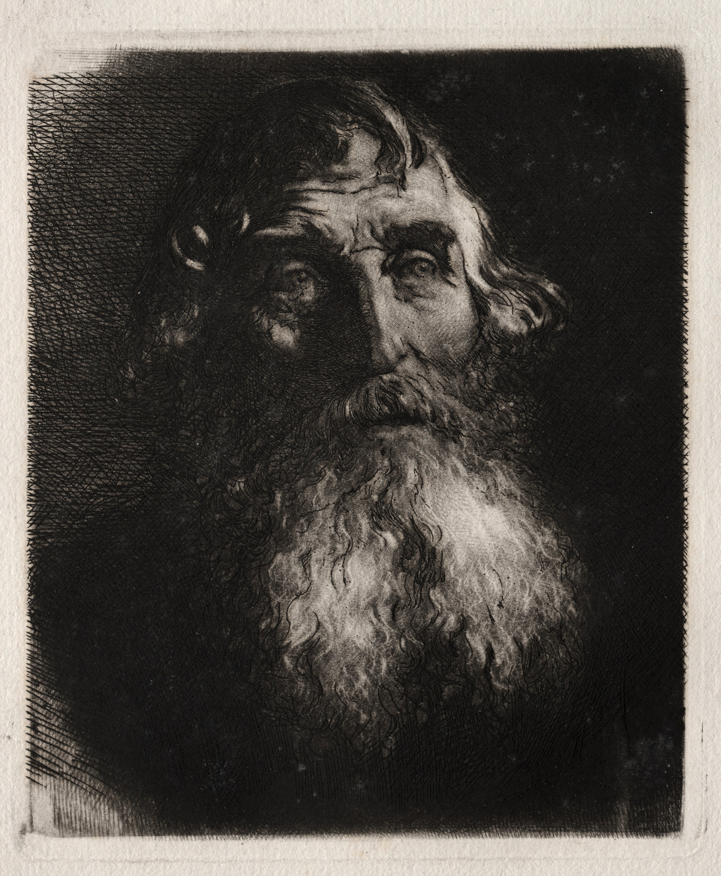 Study of an Old Man's Head