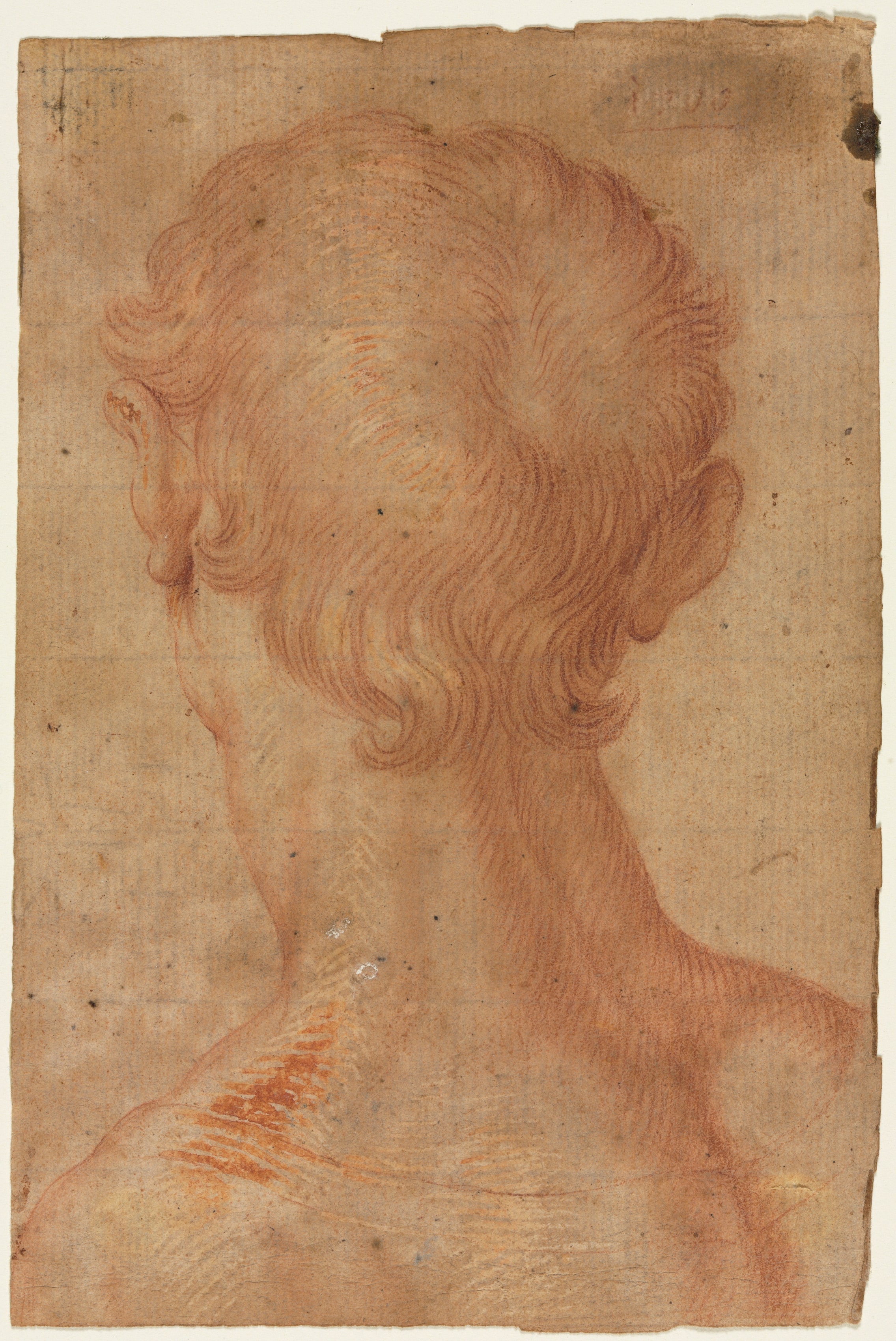 Man's Head from the Back