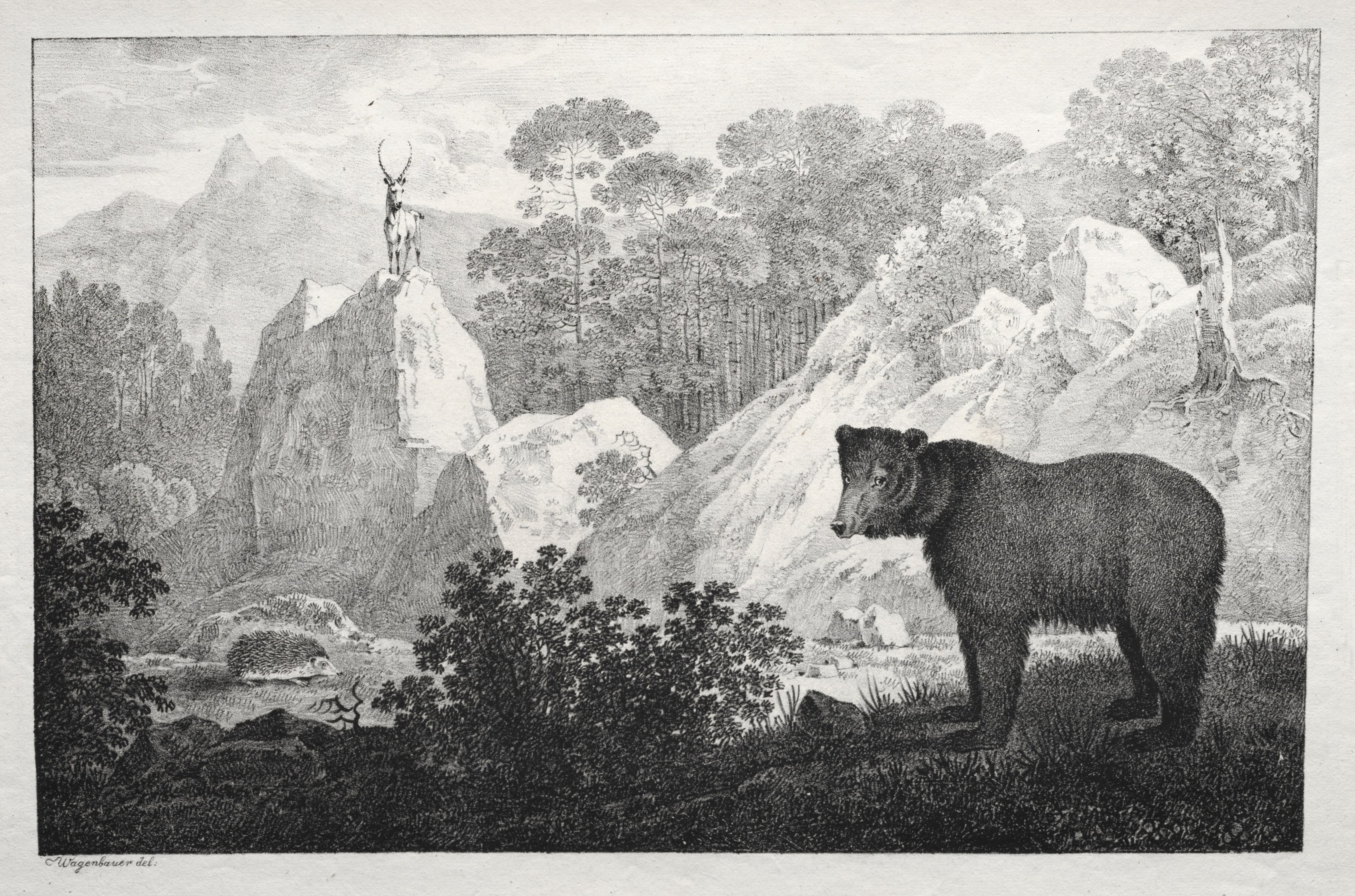 Mountainous Landscape with Bear in the Foreground