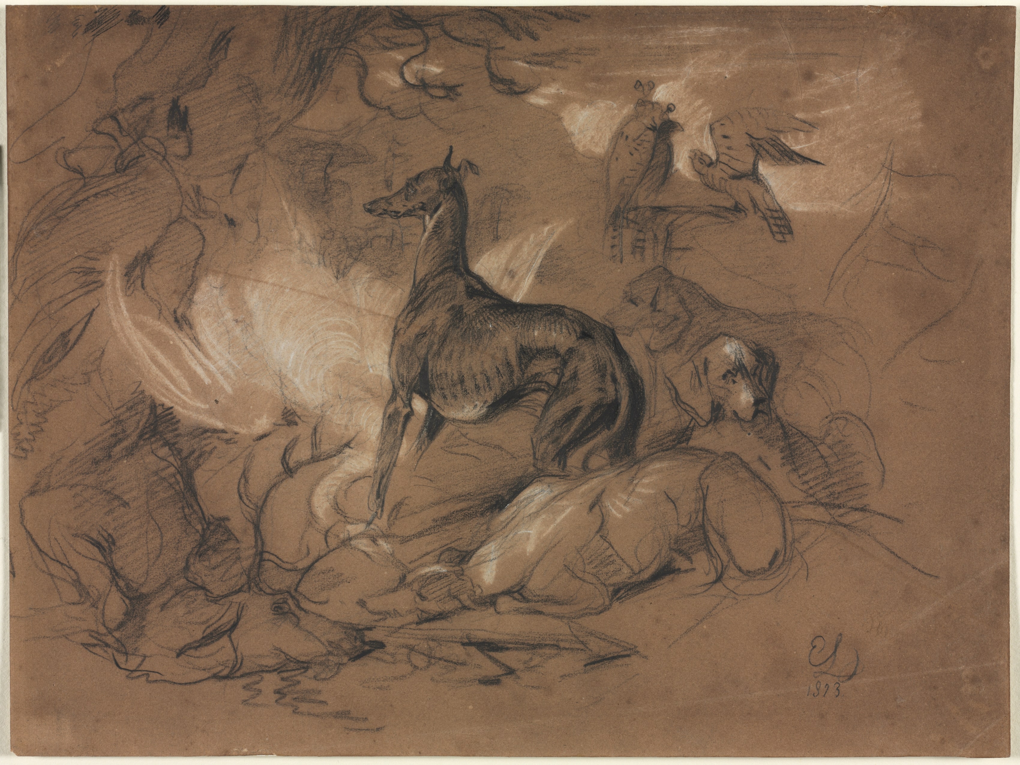 Studies of Animals