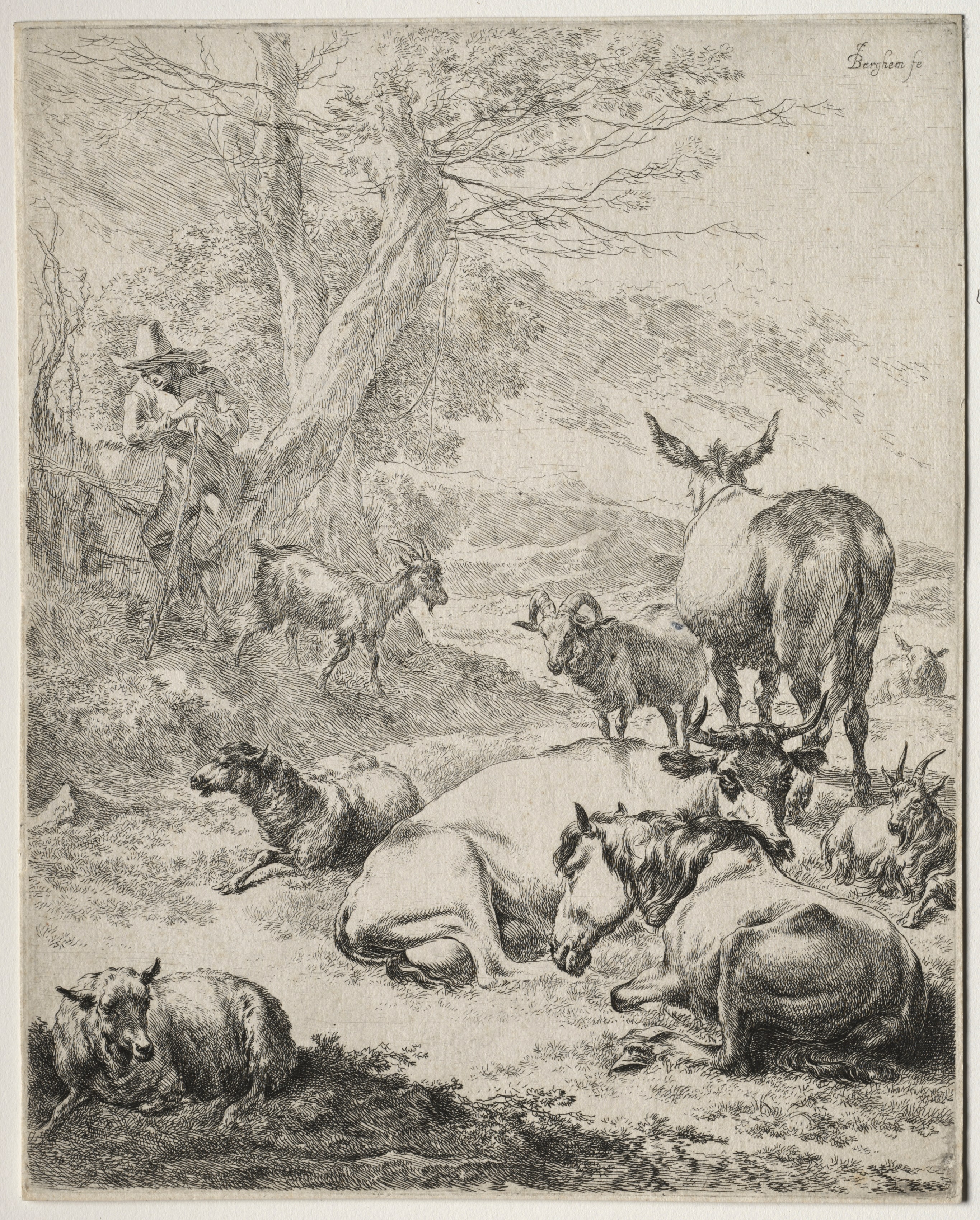 The Herd at Rest