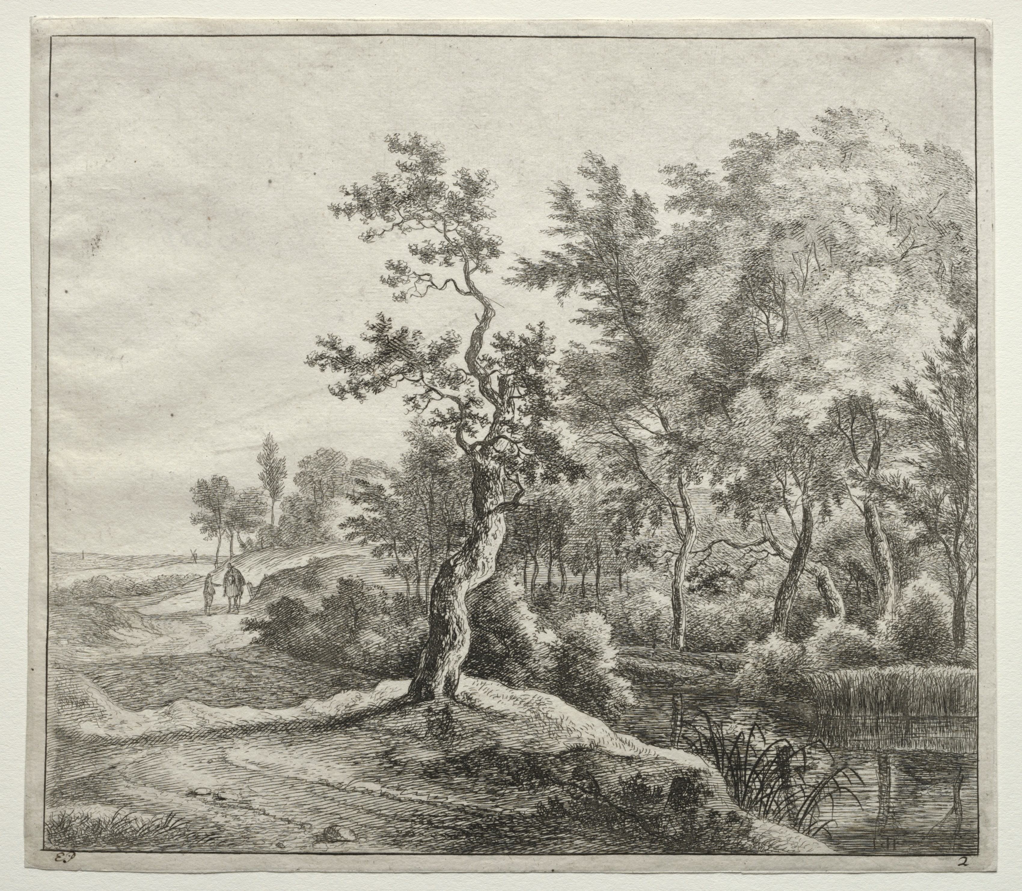 The Serpentine Road
