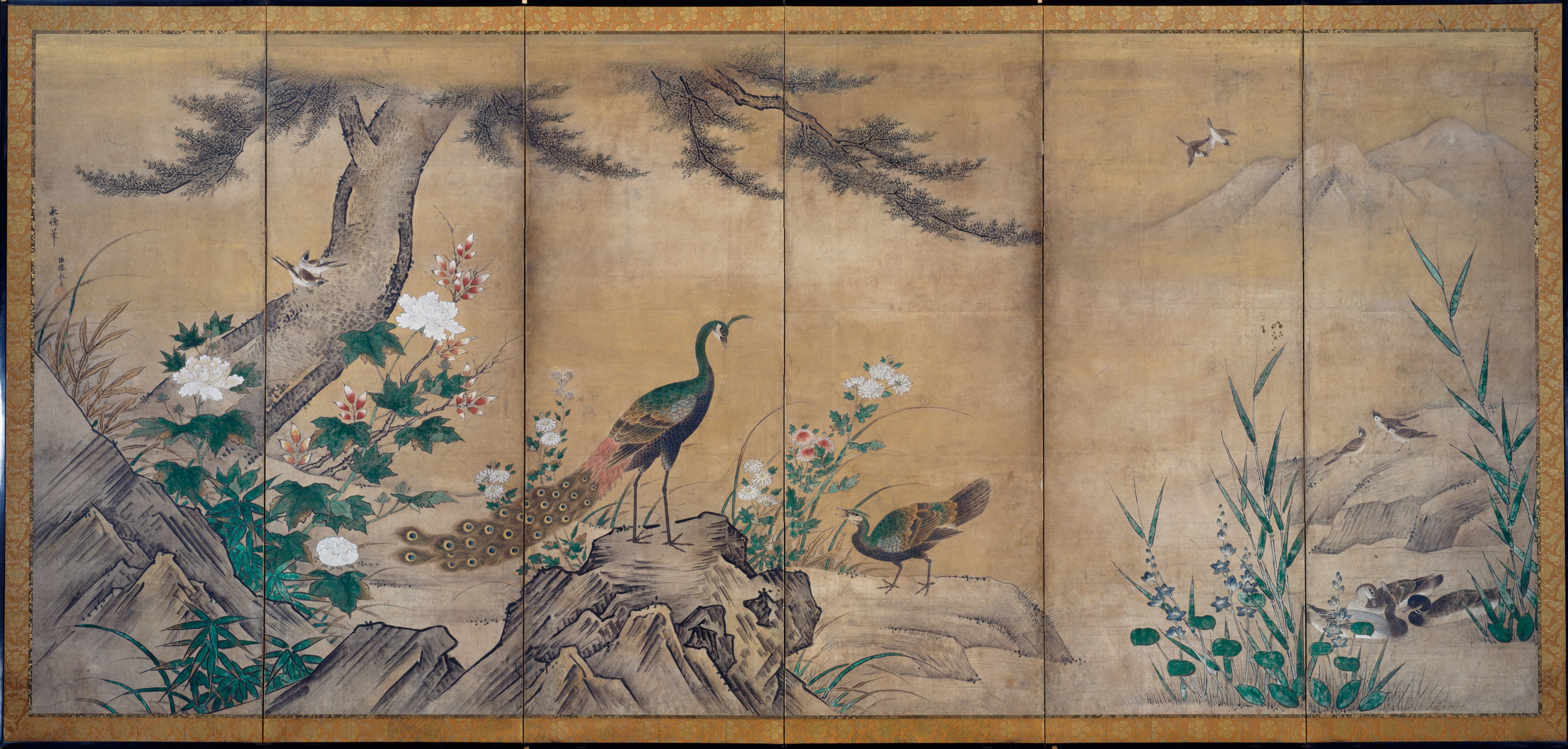 Birds and Flowers