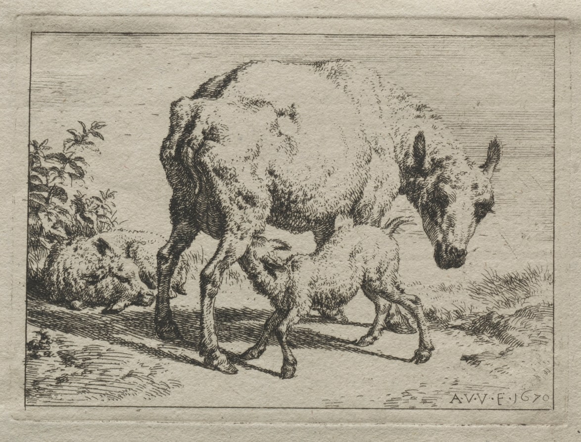 The Ewe and Two Lambs