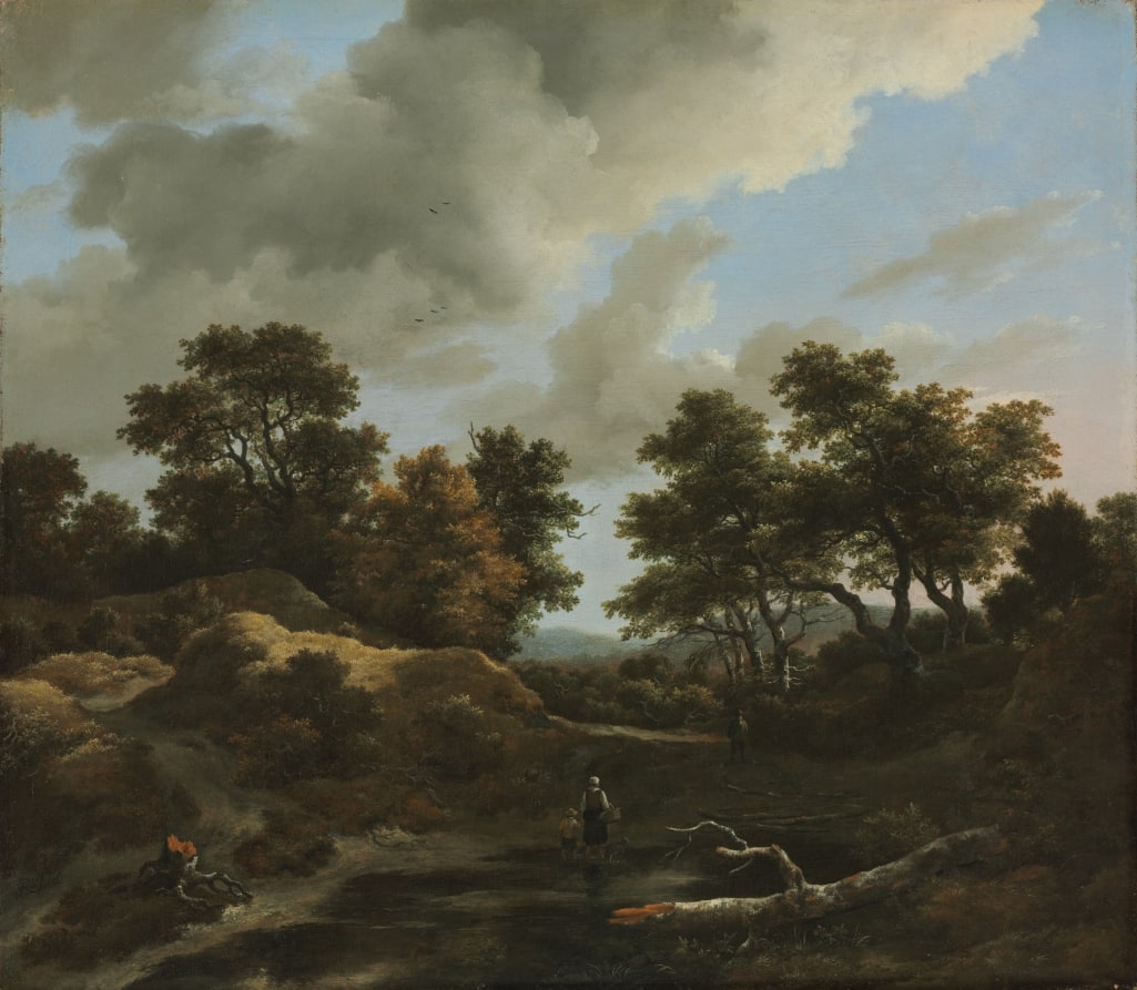 Wooded and Hilly Landscape
