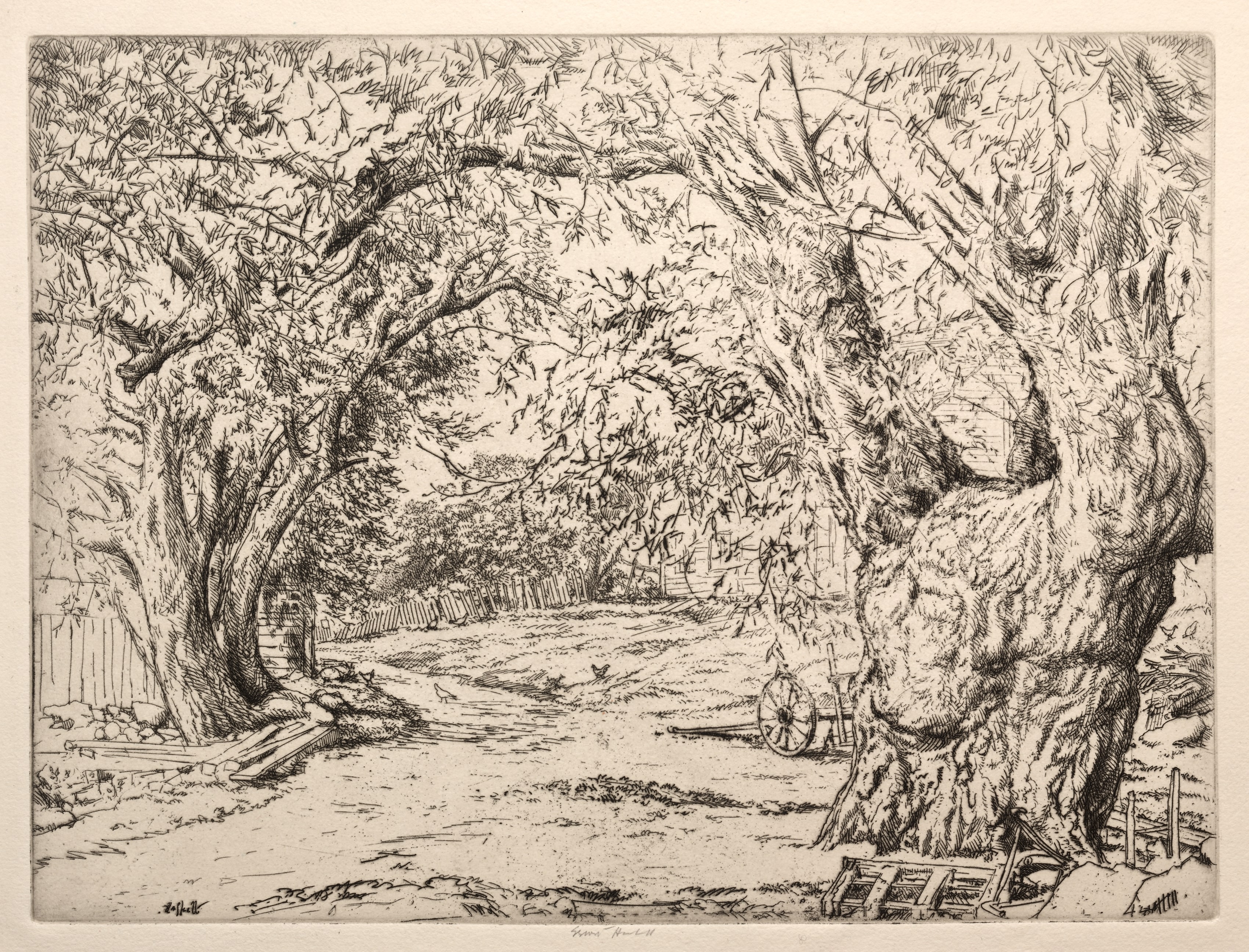 Winnegance Willows