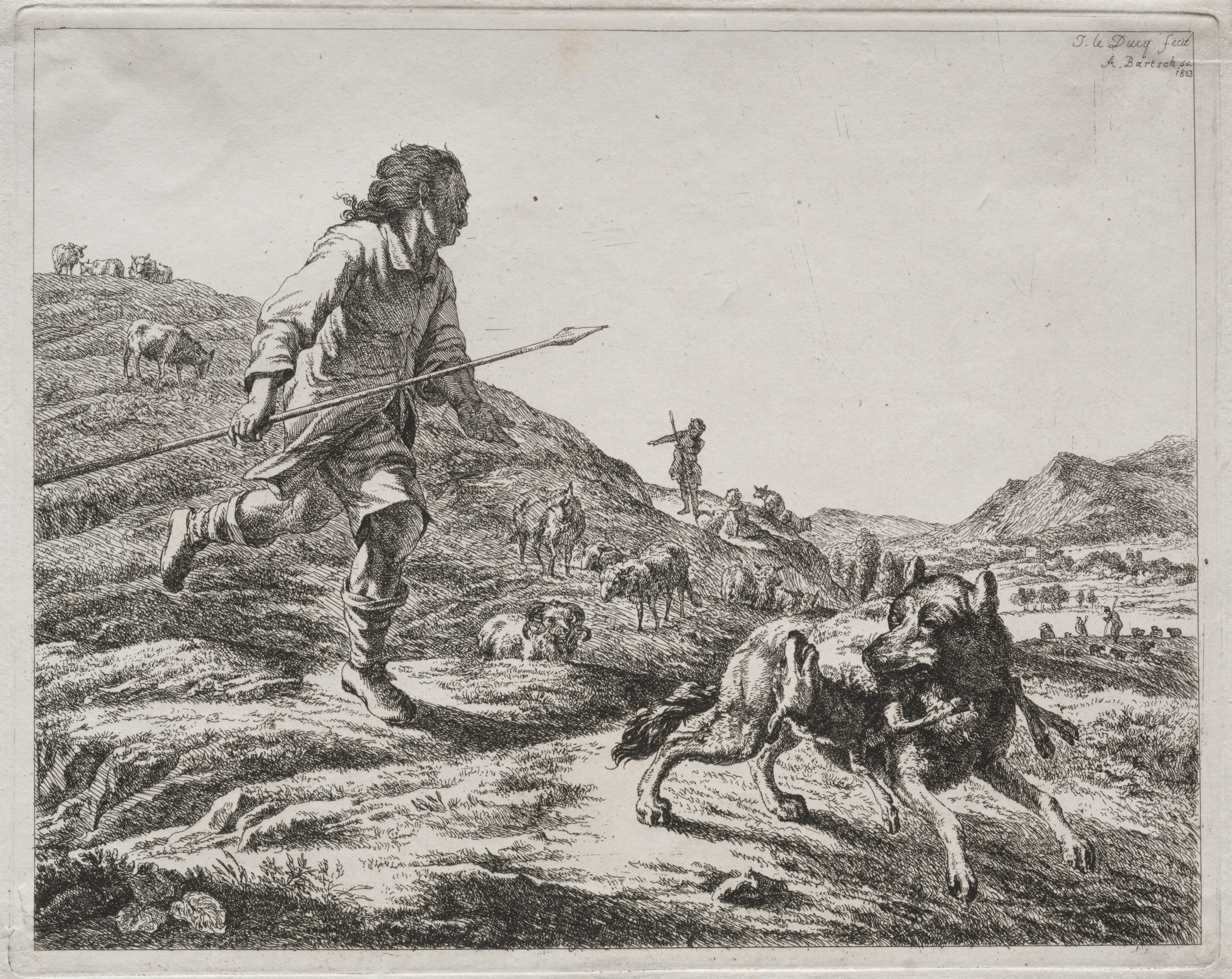 Shepherd Chasing a Wolf