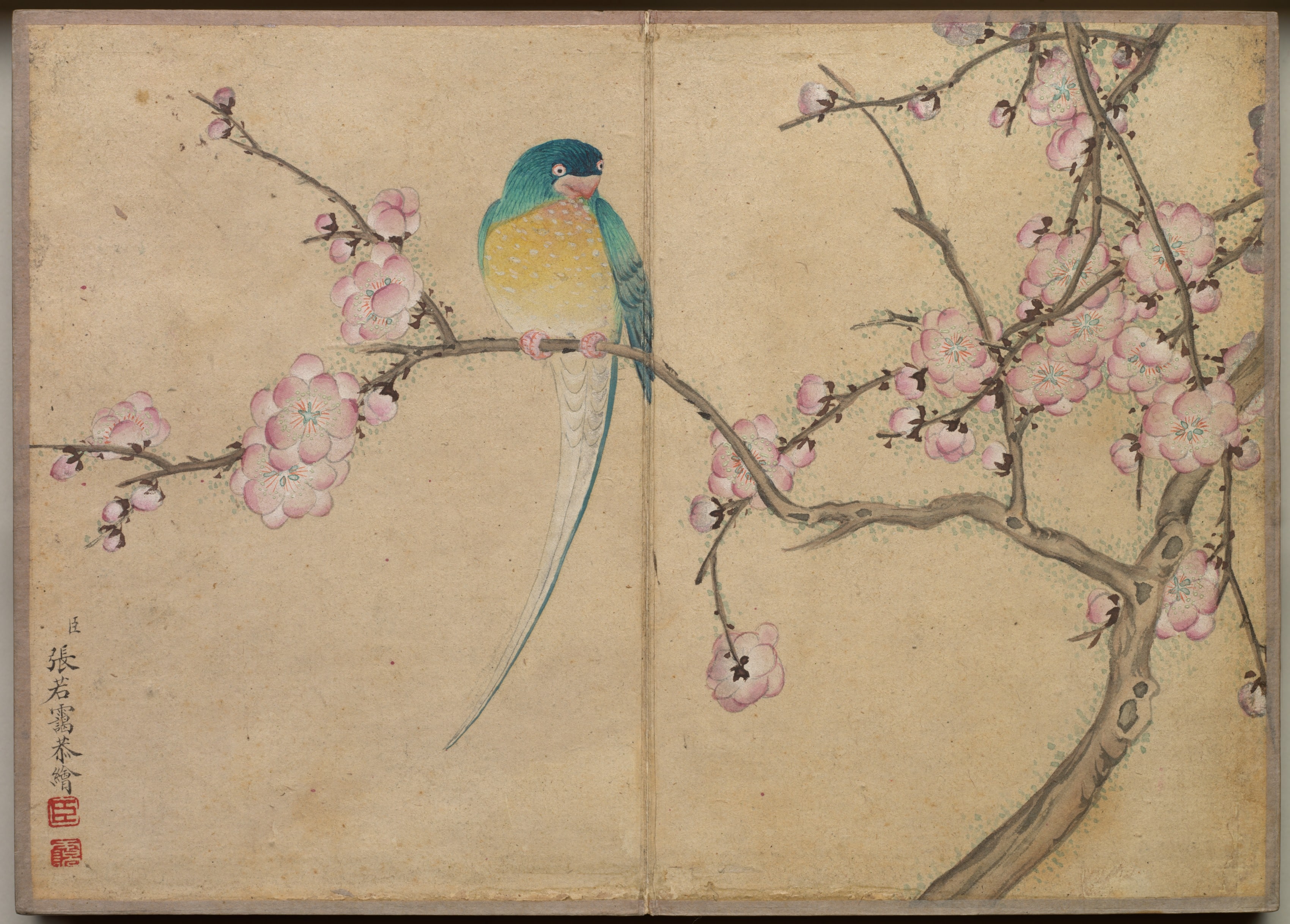 Desk Album: Flower and Bird Paintings (Bird with Plum Blossoms)