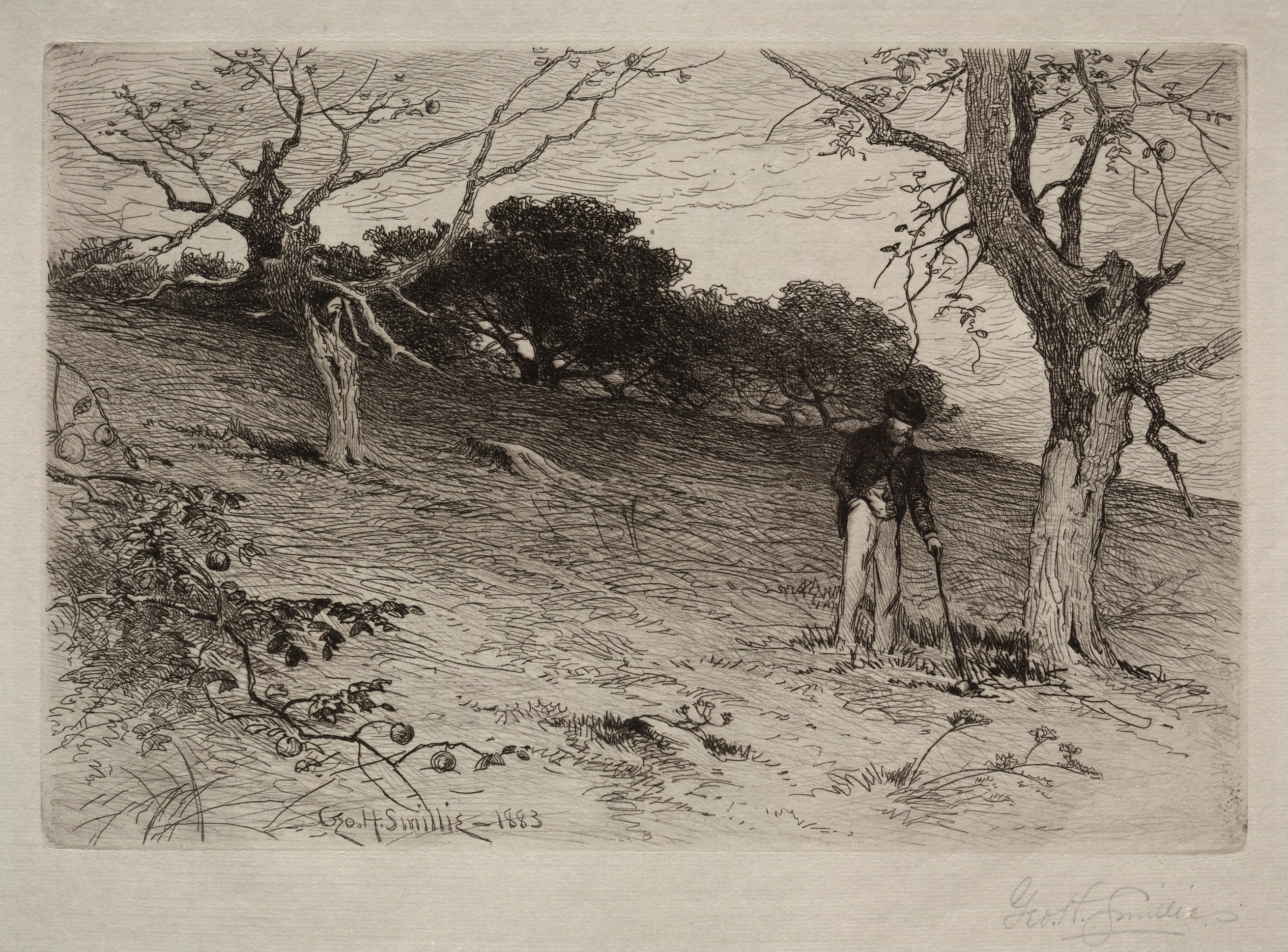 Landscape
