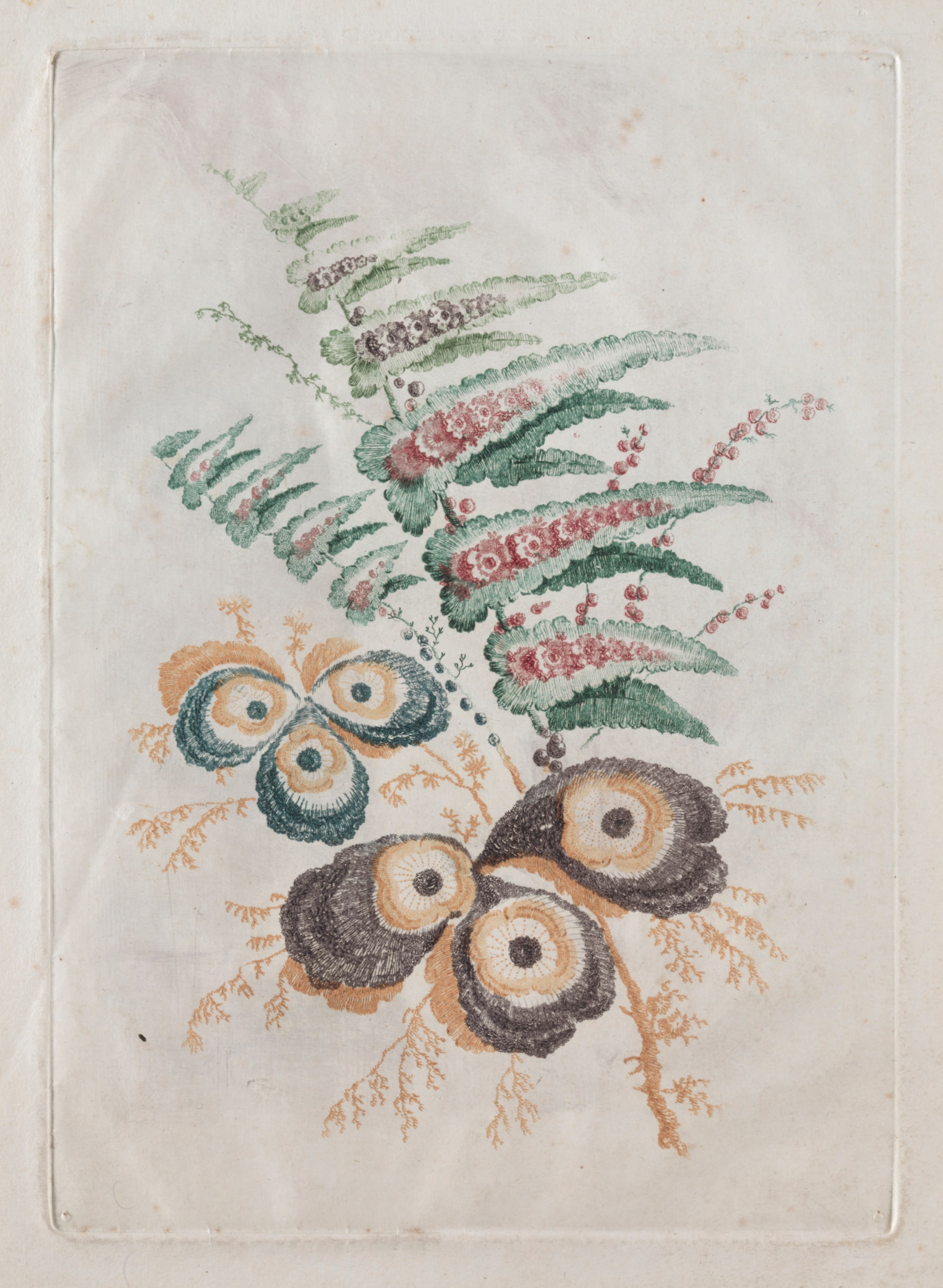 New Suite of Portfolios of Flowers Ideal to Use for Designing and Painting: Floral Fantasies