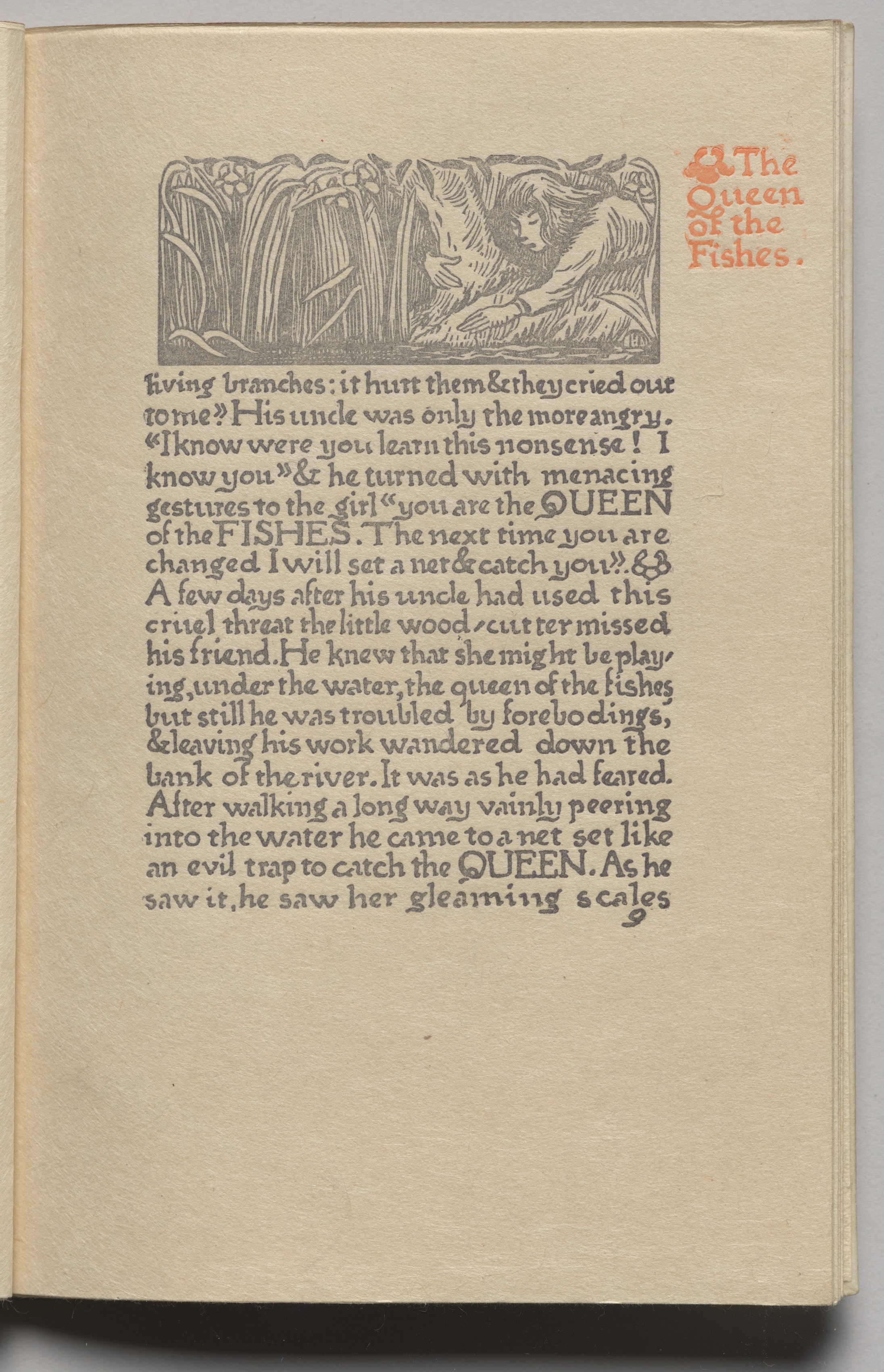 The Queen of the Fishes: Plate 9