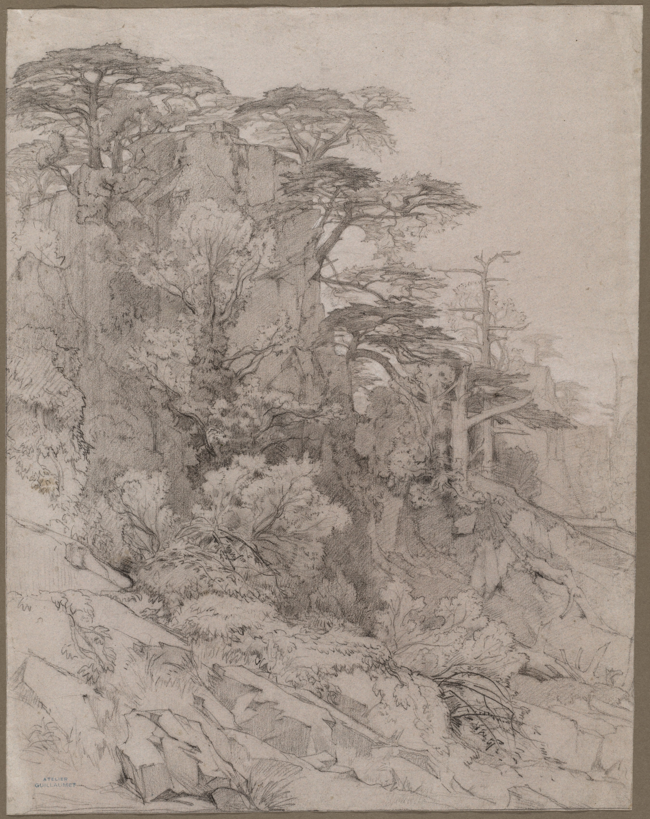 Trees of a Rocky Hillside