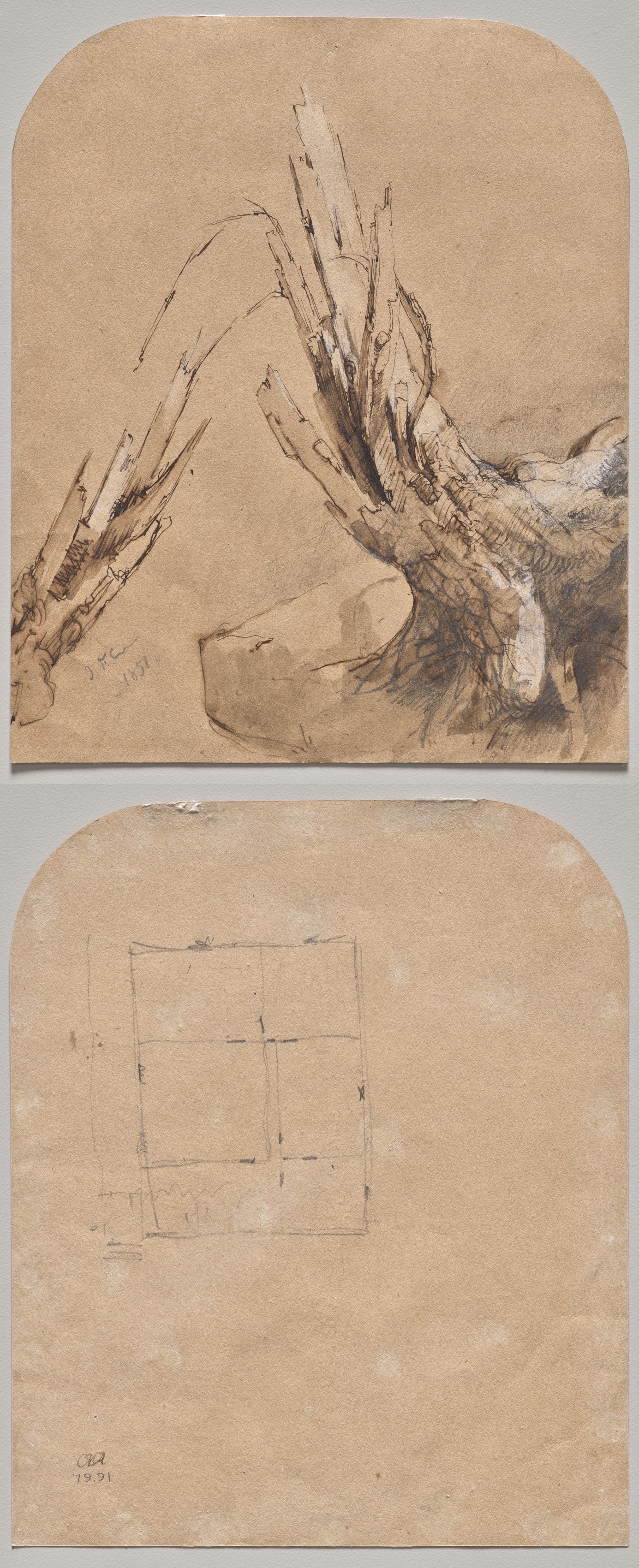 A Blasted Tree (recto) Floorplan (verso)