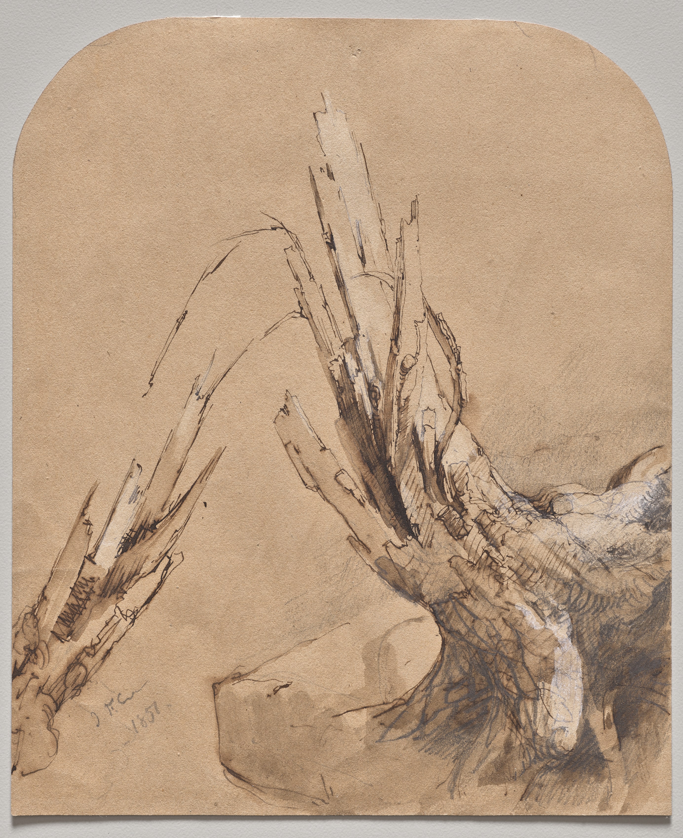 A Blasted Tree (recto)