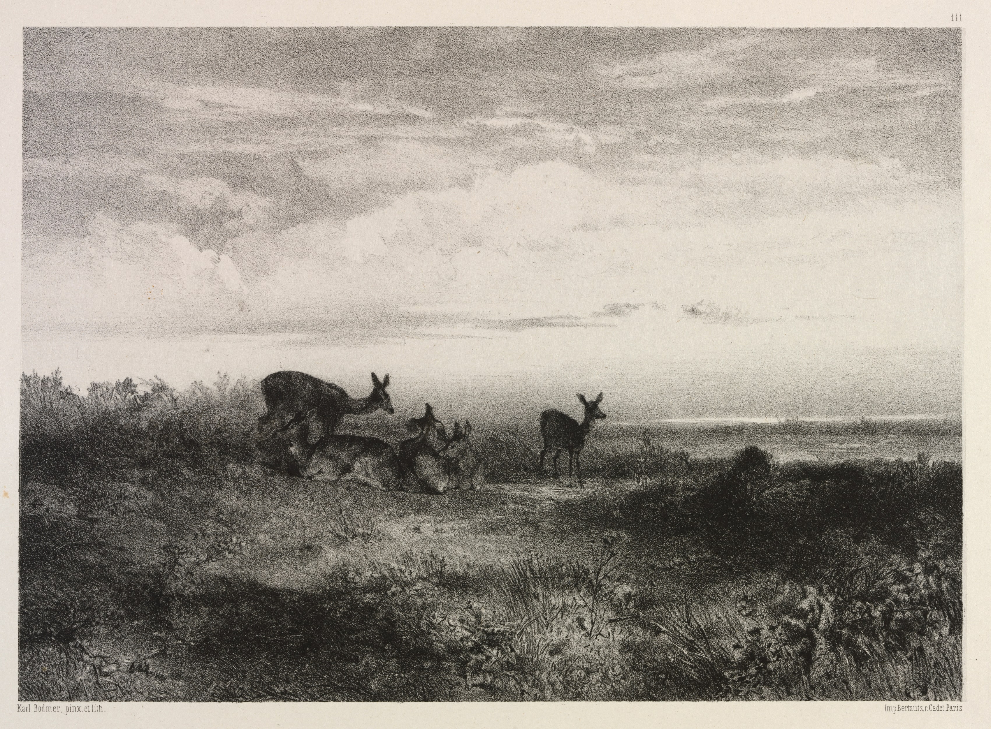 Landscape with Deer