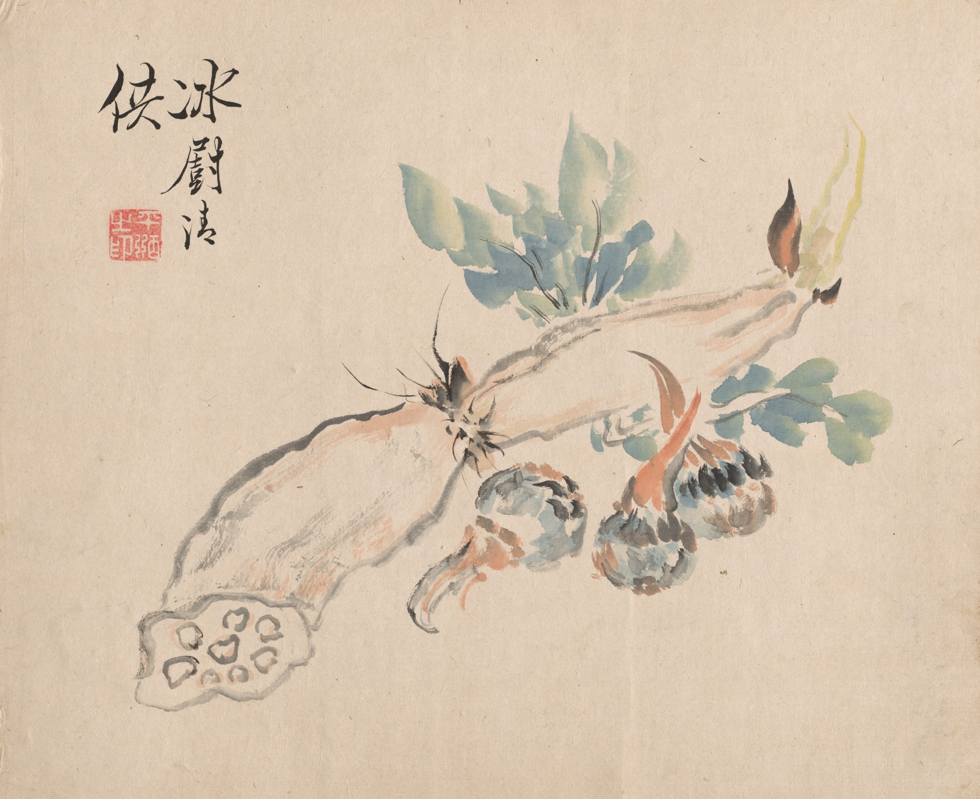 Lotus Root and Adder's Tongue