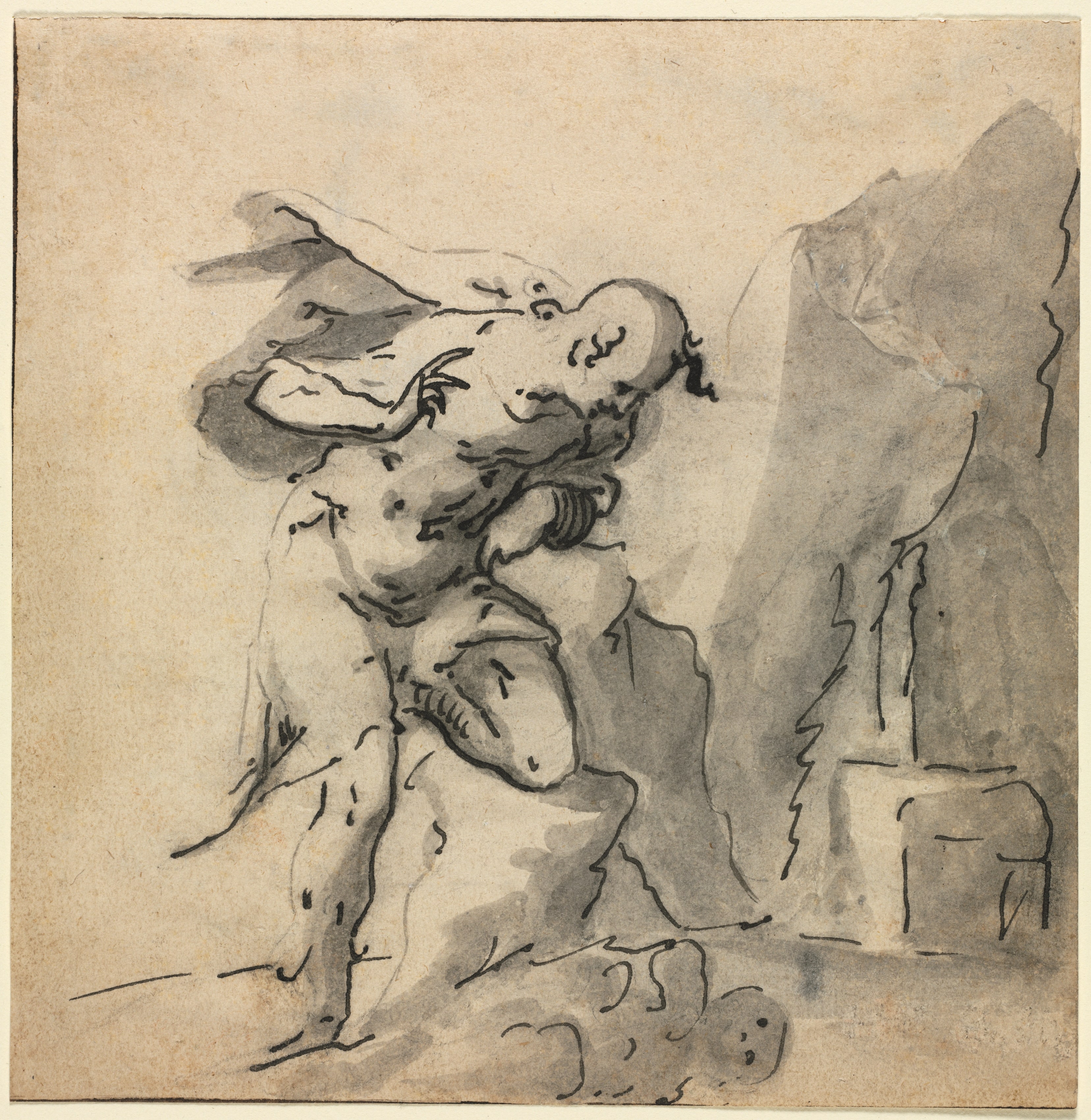 Narcissus