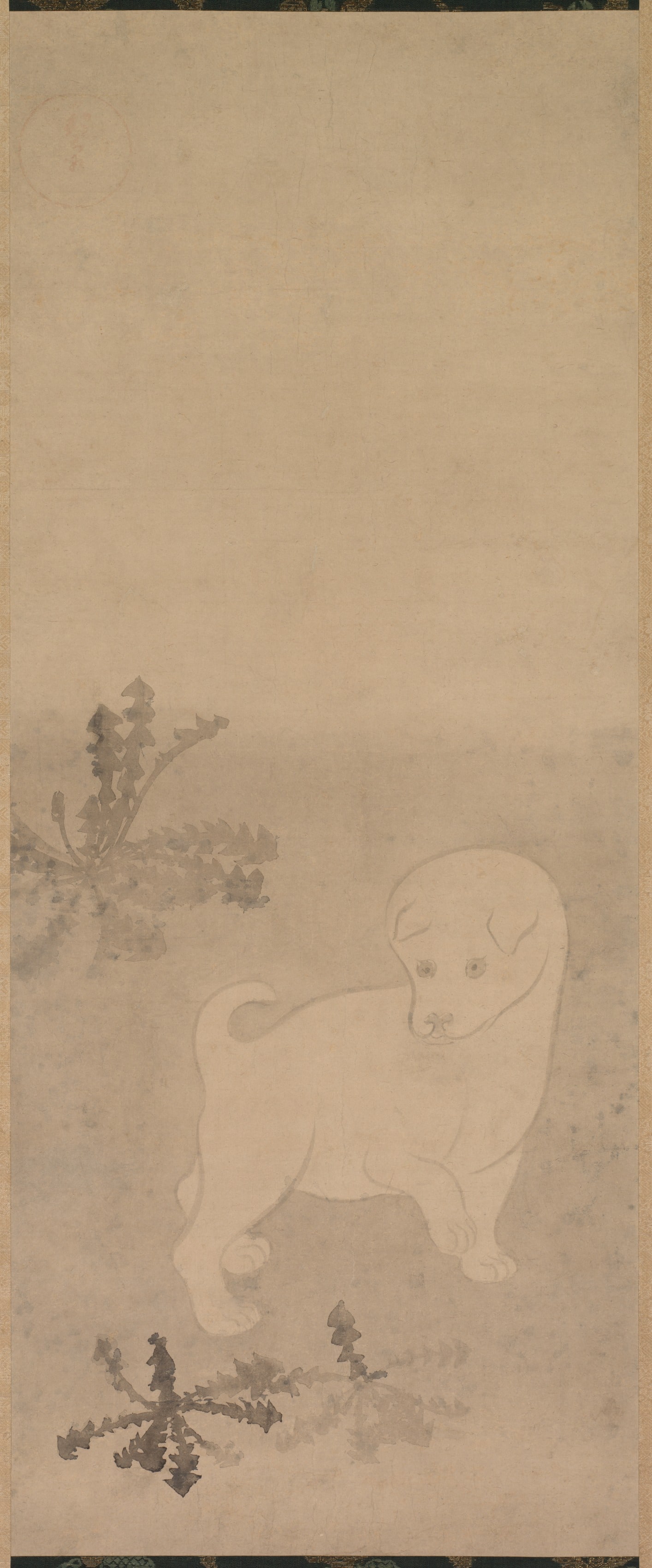 Puppy with Dandelions