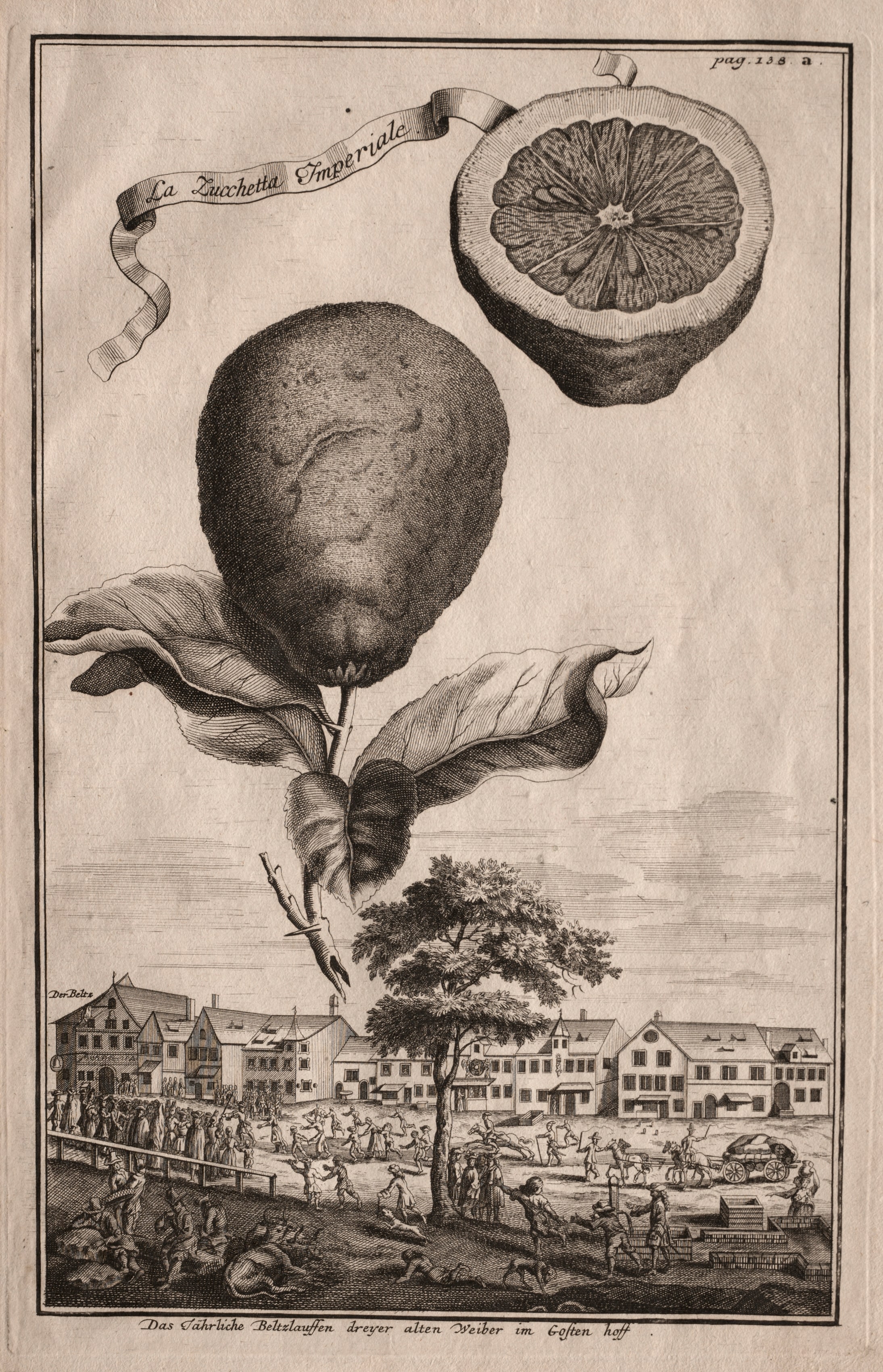 Nurnbergische Hesperides:  La Luchetta Imoperiale