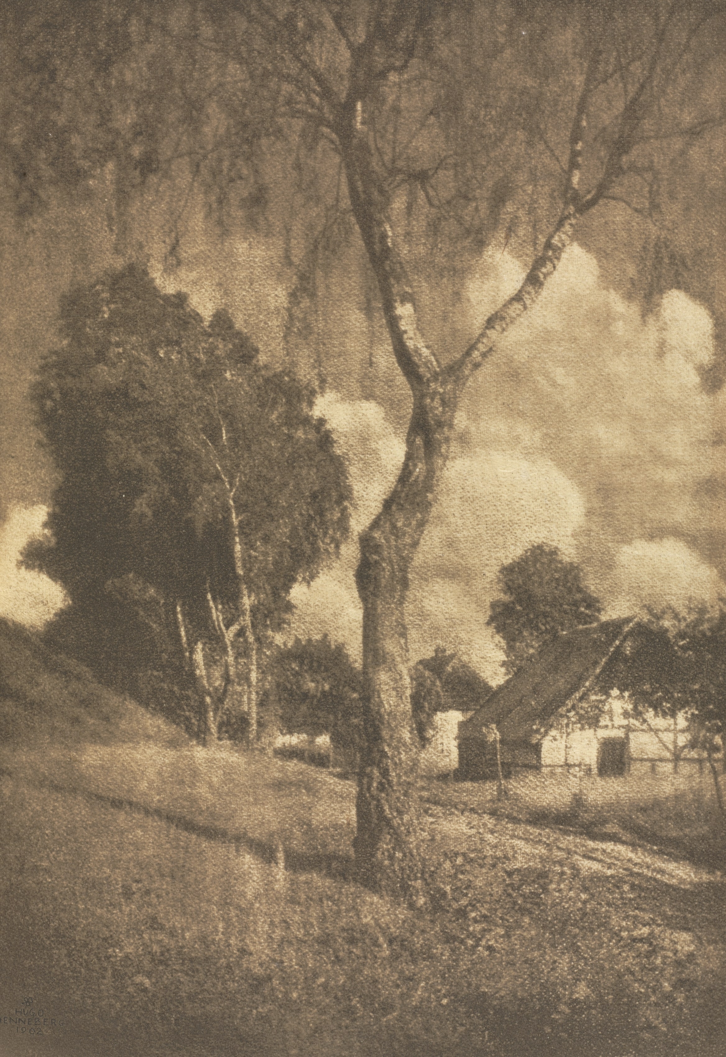 Camera Work: Pomeranian Motif
