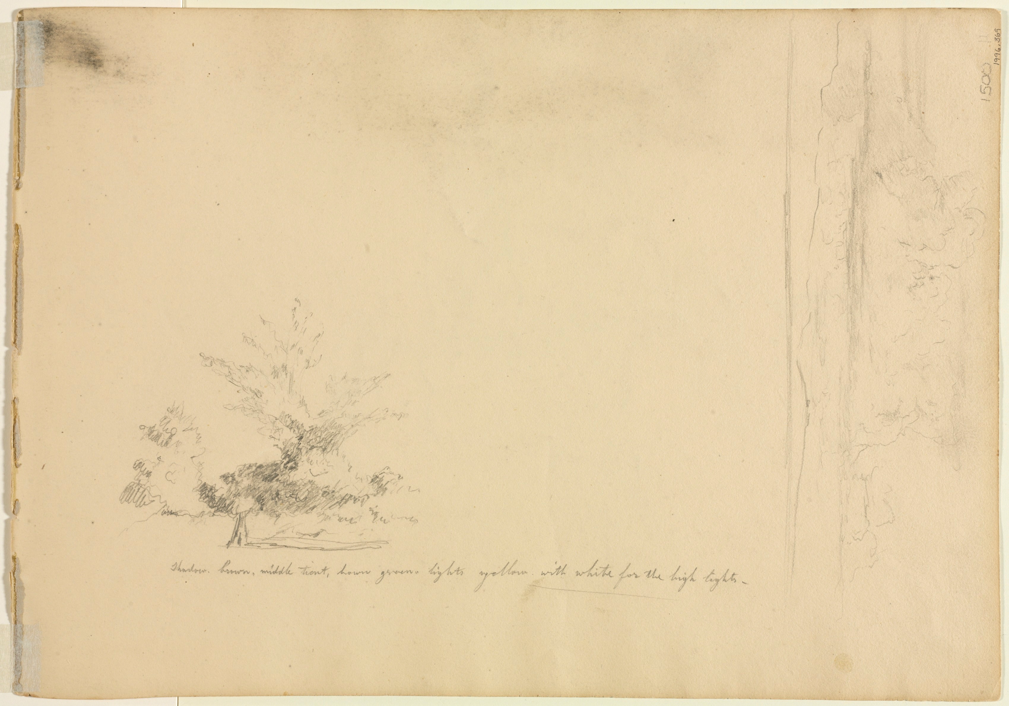 Landscape and Tree Studies (verso)