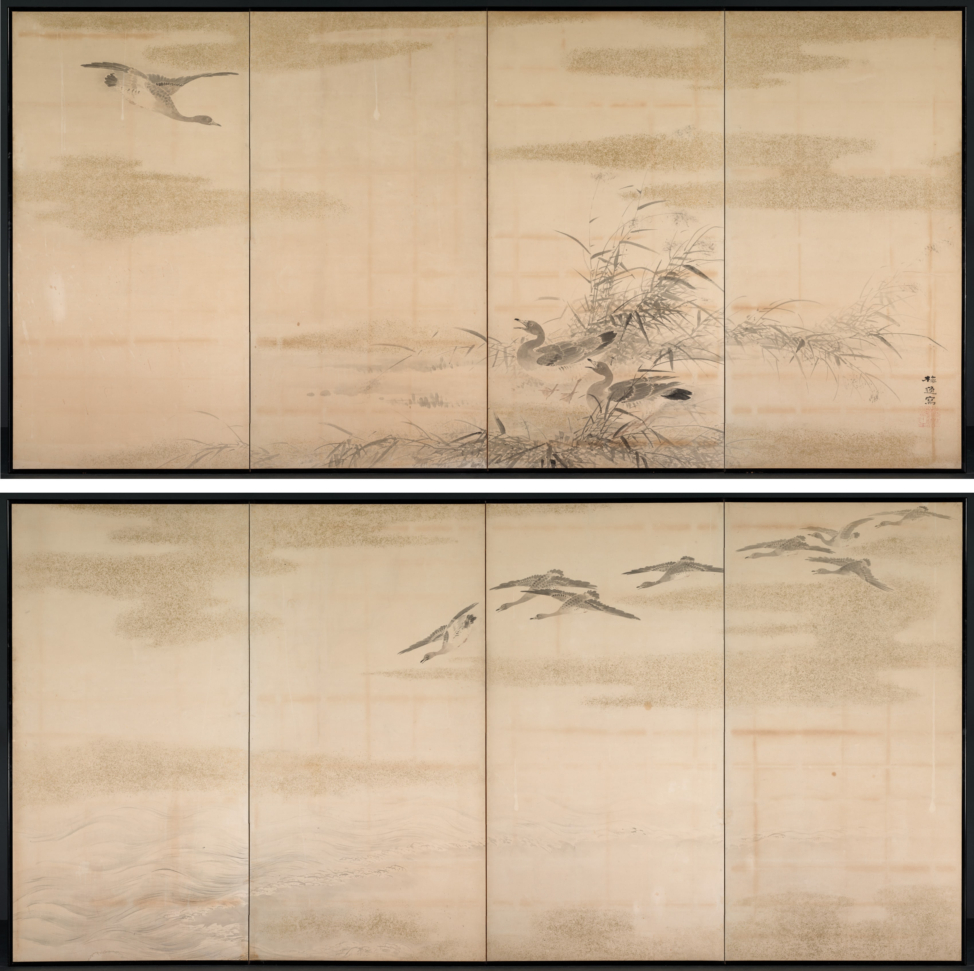Geese, Reeds, and Water