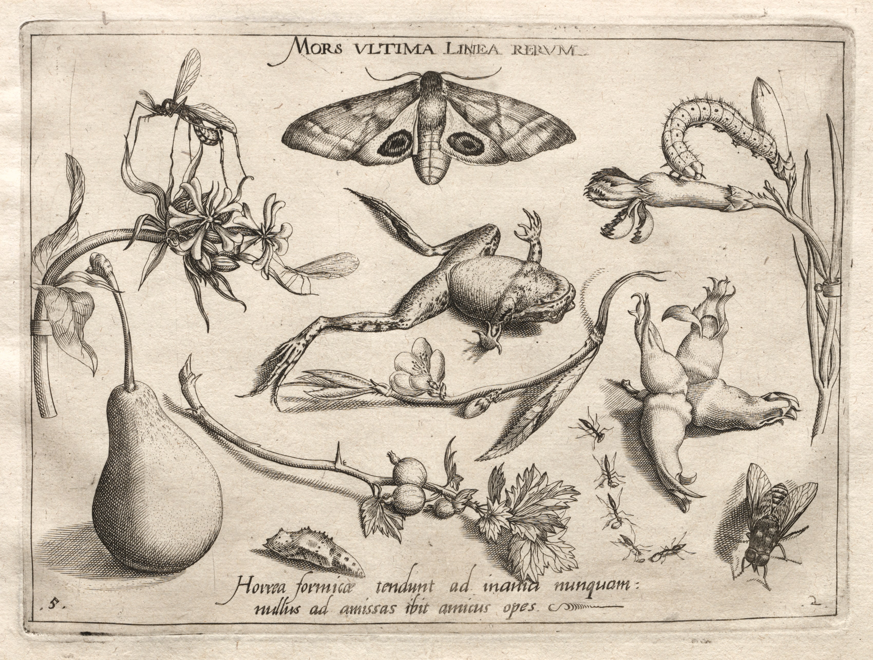 Archetypes and Studies: Death is the line that marks the end of all (Part II, plate 5)