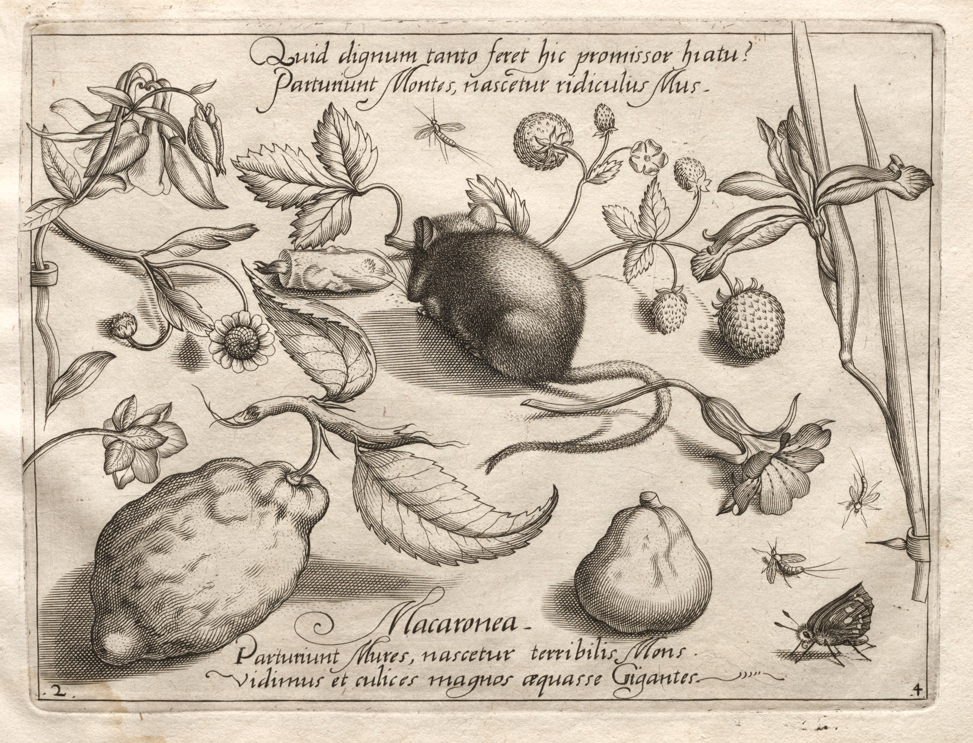 Archetypes and Studies: What can emerge in keeping with such a cavernous promise? (Part IV, plate 2)