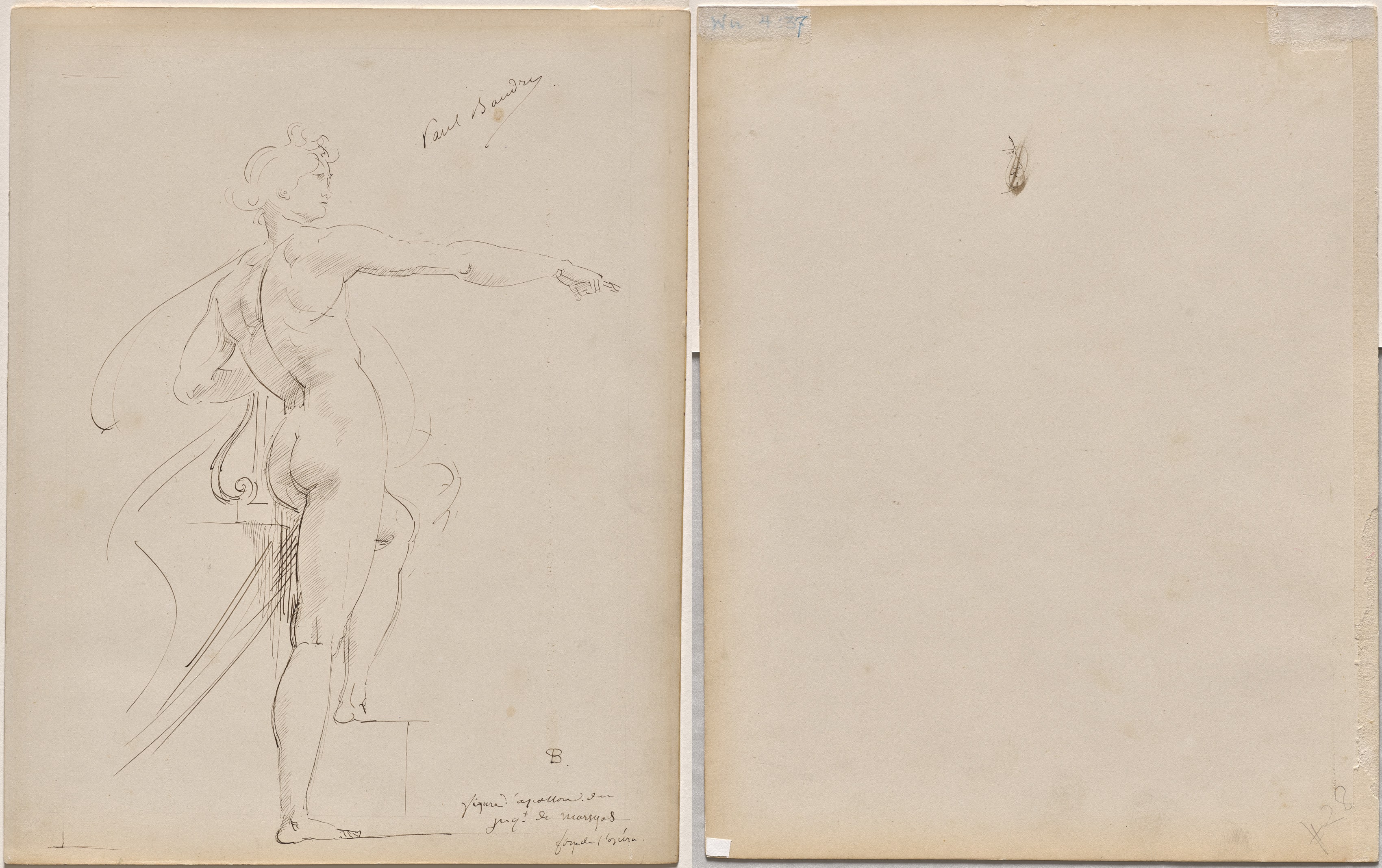 Study of Apollo for Marsyas (recto); Face in Profile (verso)
