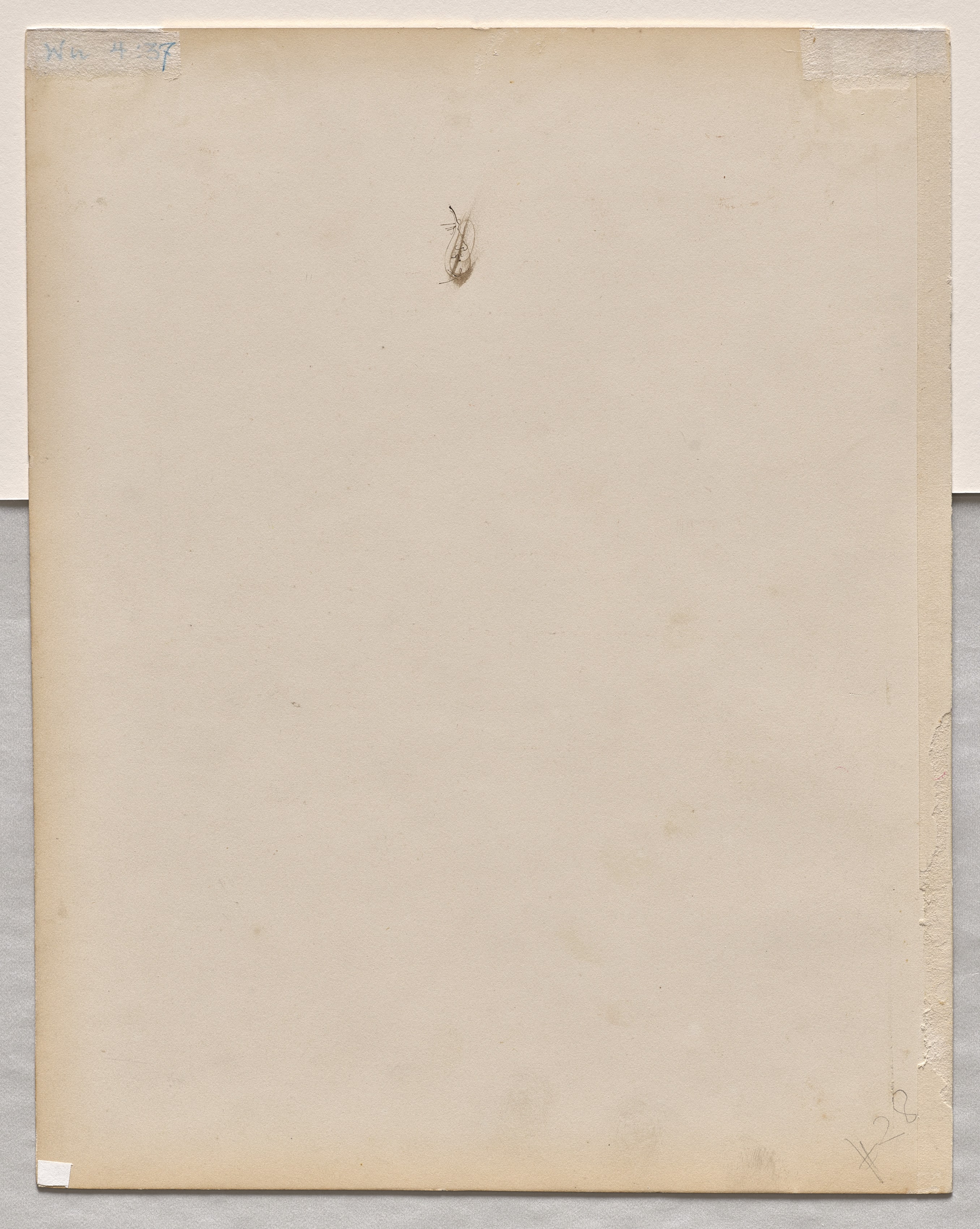 Face in Profile (verso)